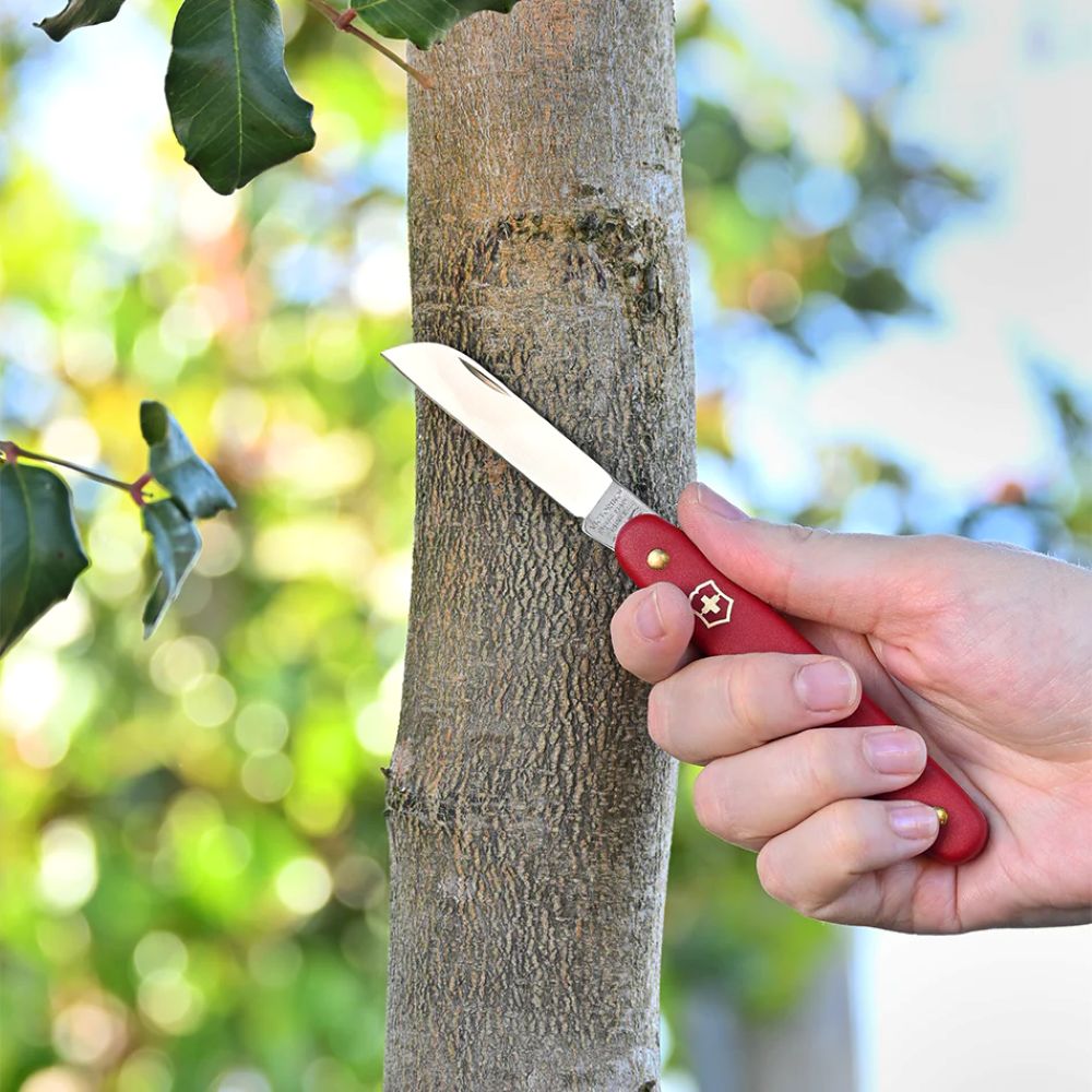 Victorinox Floral Knife Red - 3.905