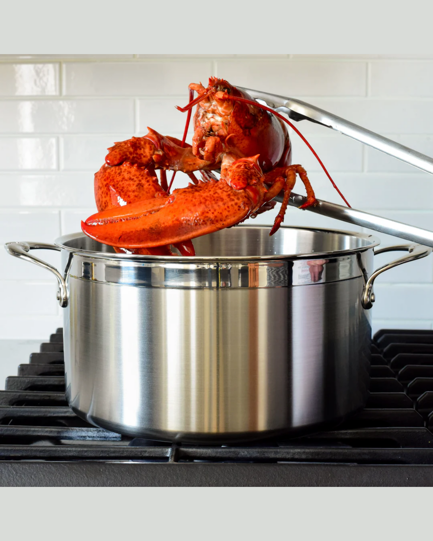 Hestan ProBond 26cm Covered Stockpot
