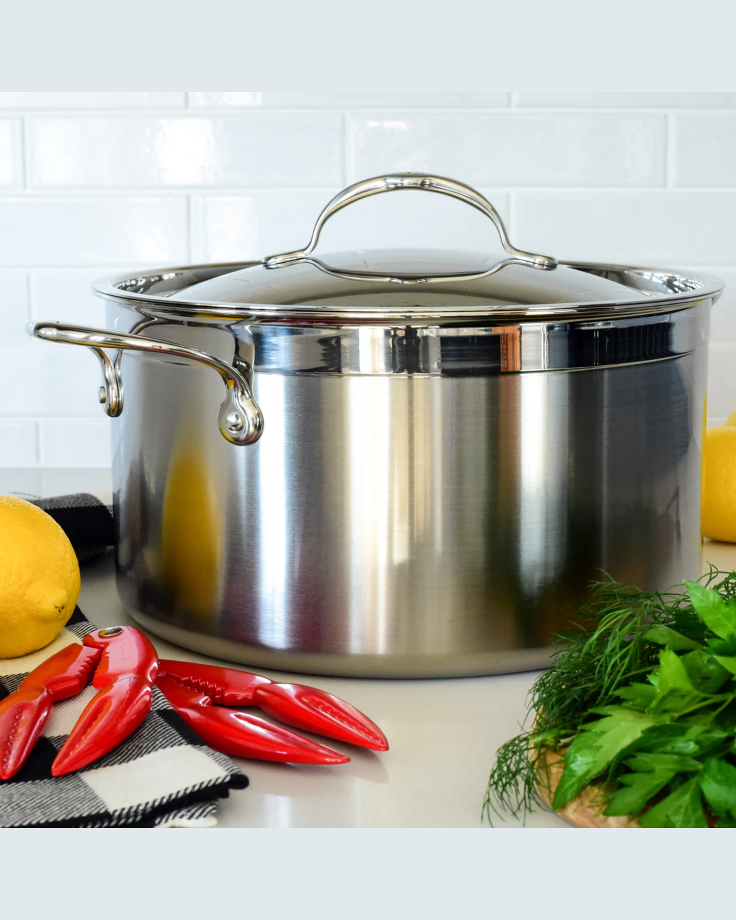 Hestan ProBond 26cm Covered Stockpot