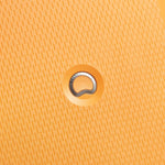 Delsey Paris Clavel Luggage