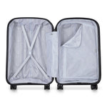 Delsey Paris Belmont Set of 2 Luggage