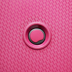 Delsey Paris Belmont Set of 2 Luggage