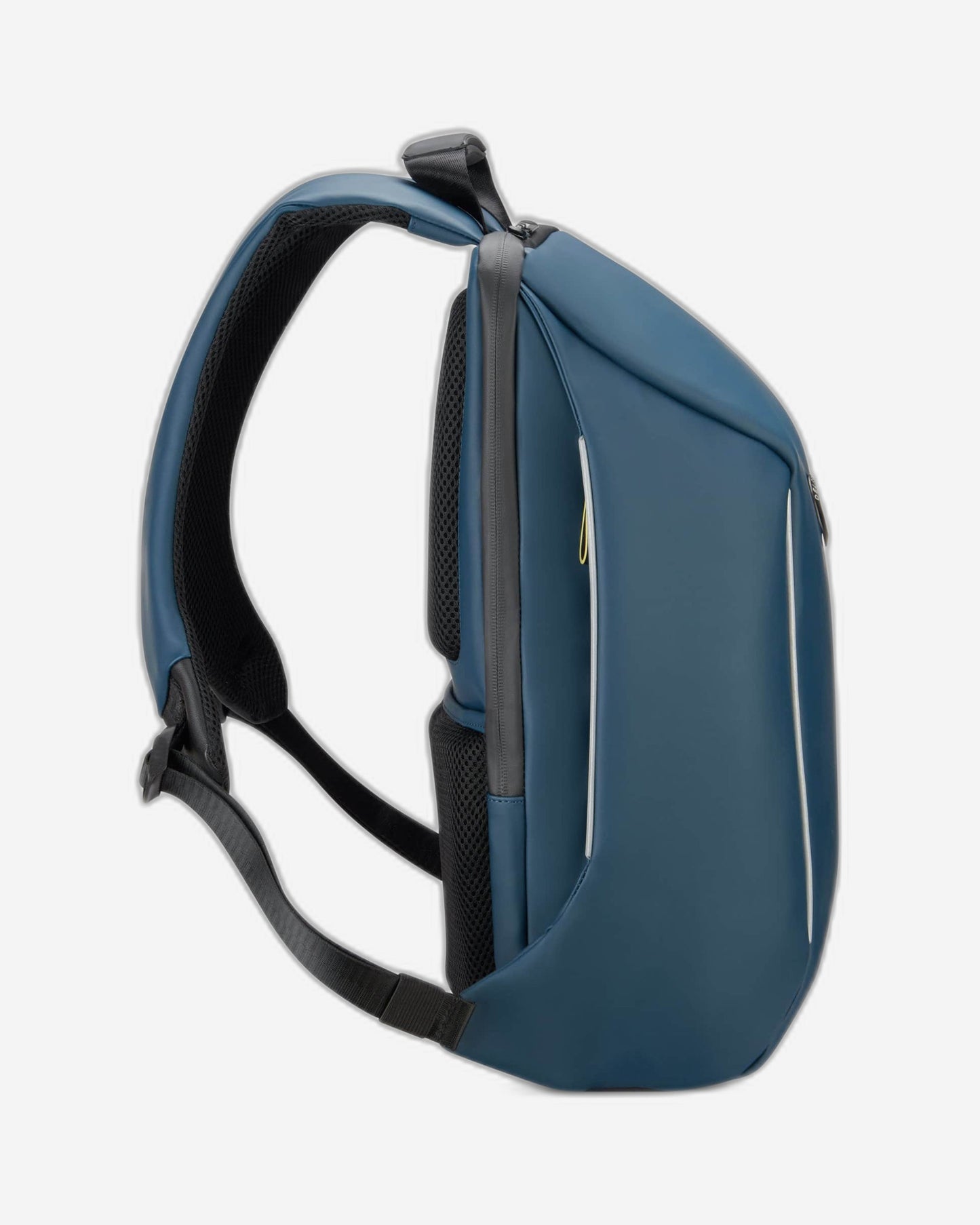 Delsey Paris Securain Backpack