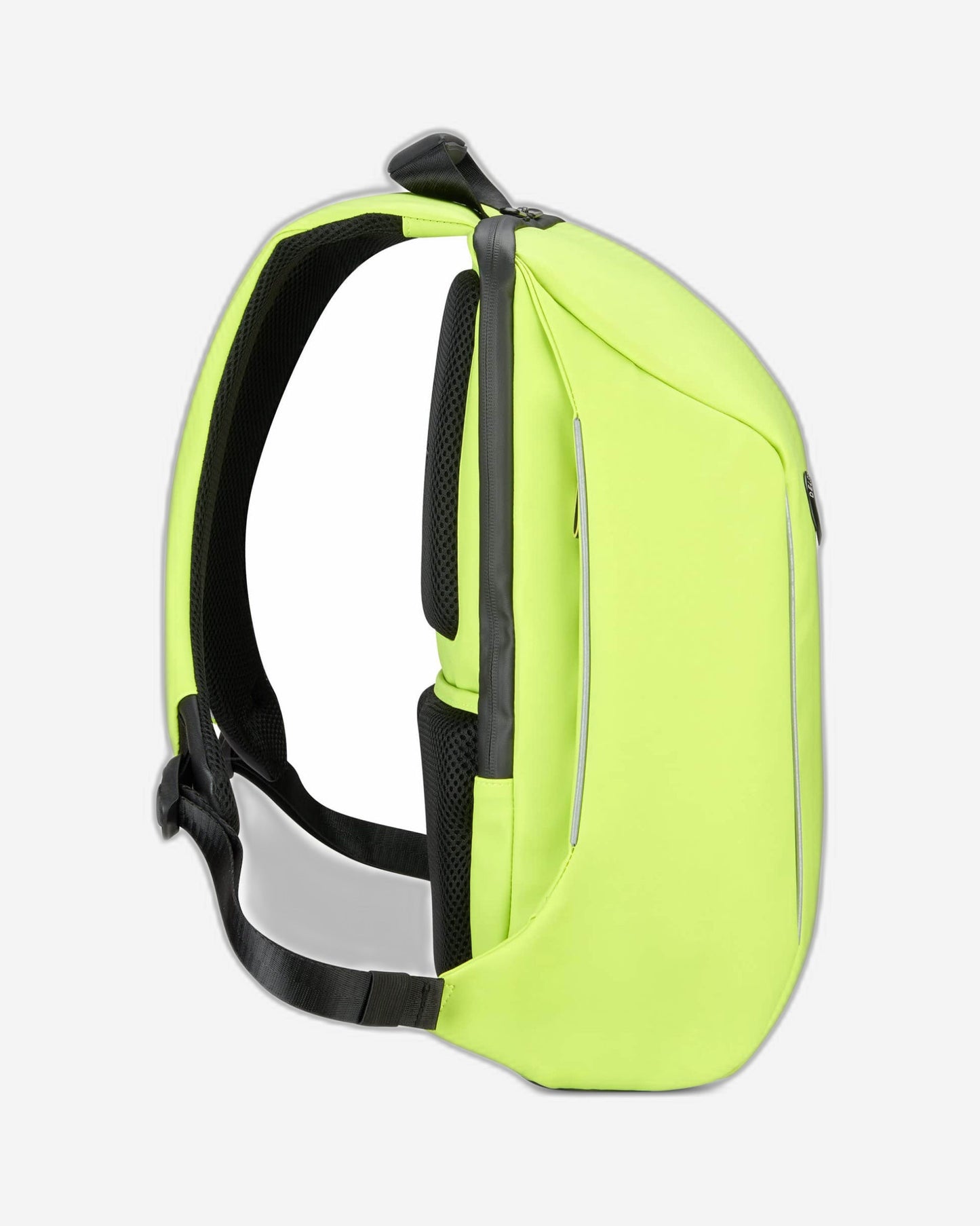 Delsey Paris Securain Backpack