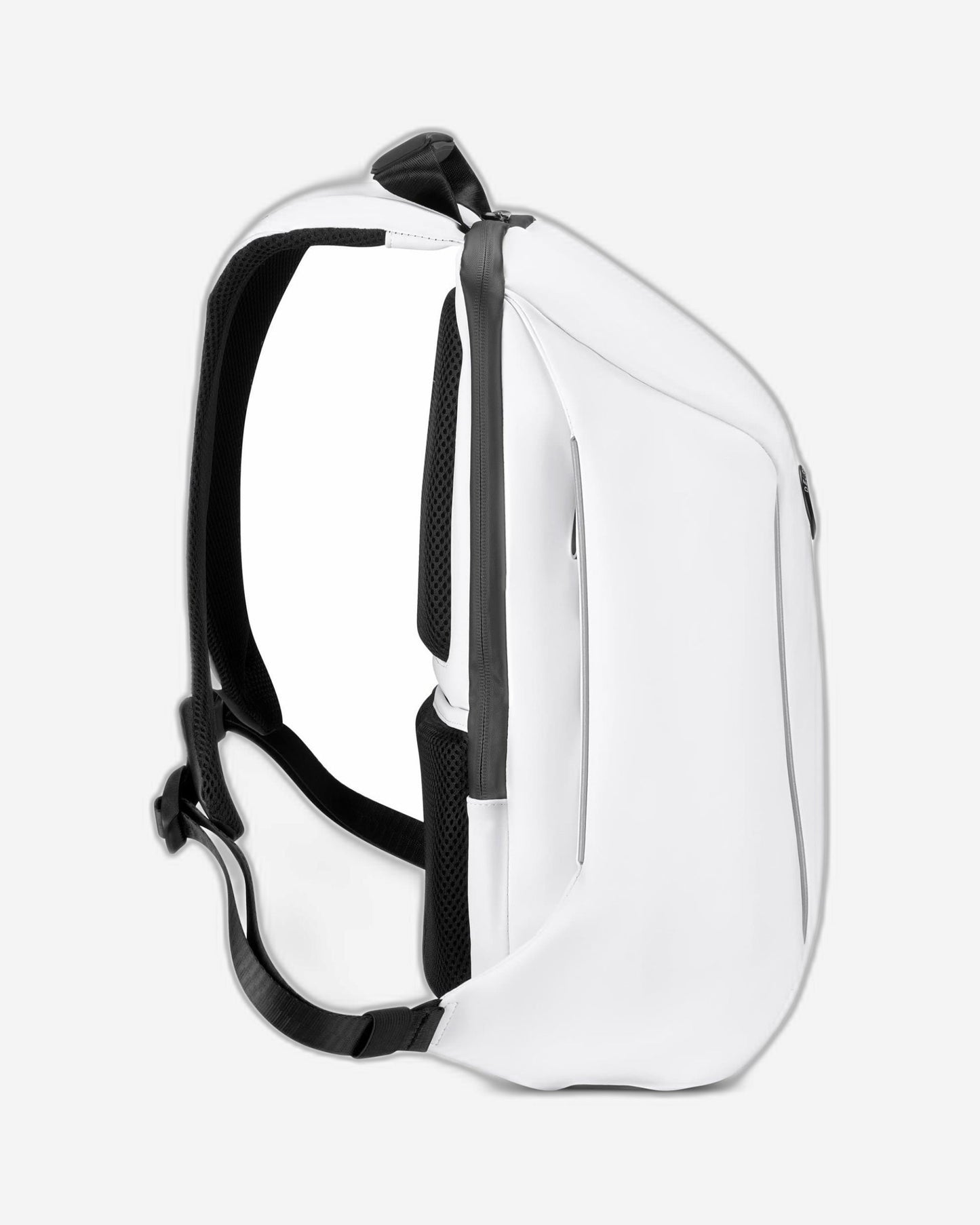 Delsey Paris Securain Backpack