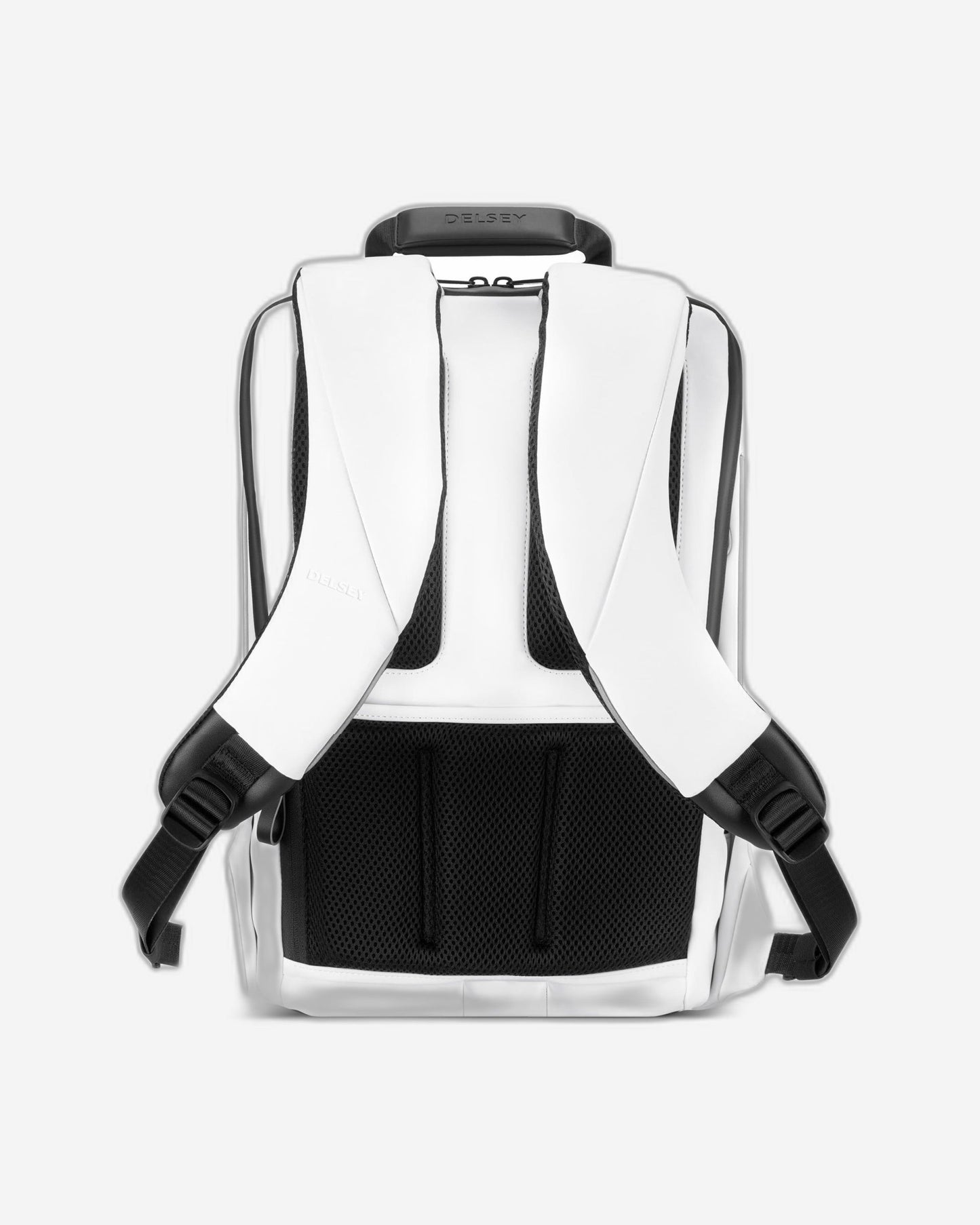 Delsey Paris Securain Backpack
