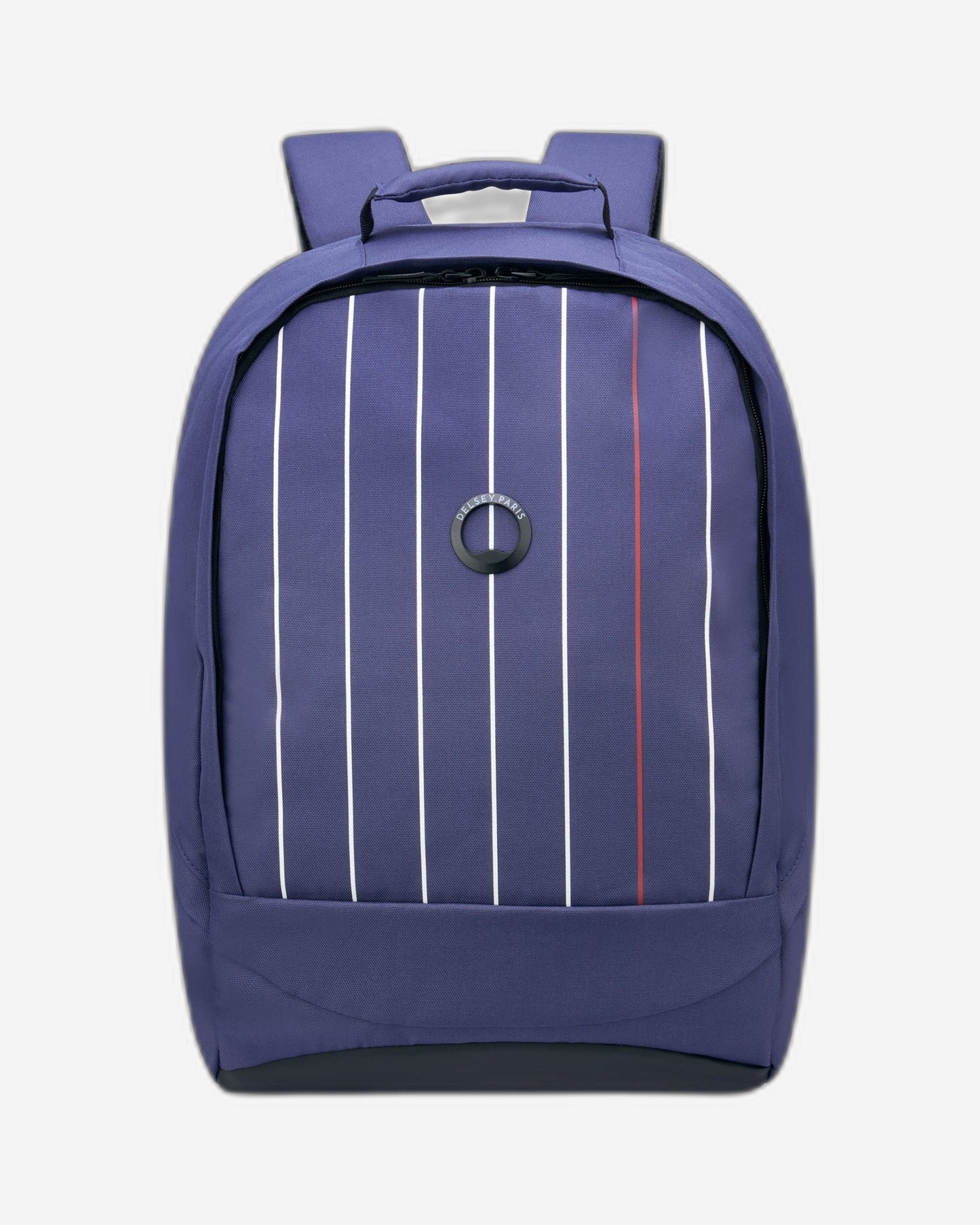Delsey Paris Securban Backpack