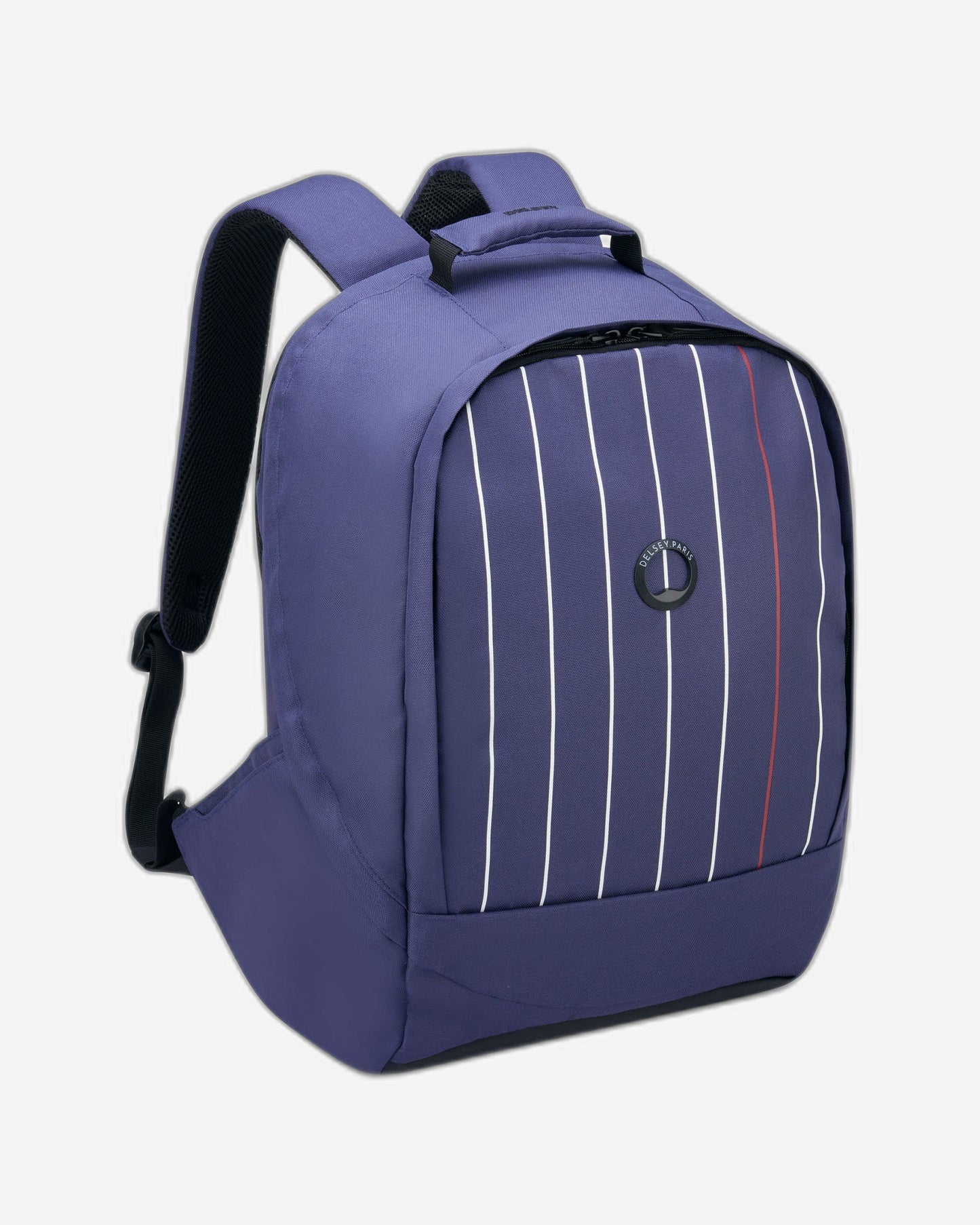 Delsey Paris Securban Backpack
