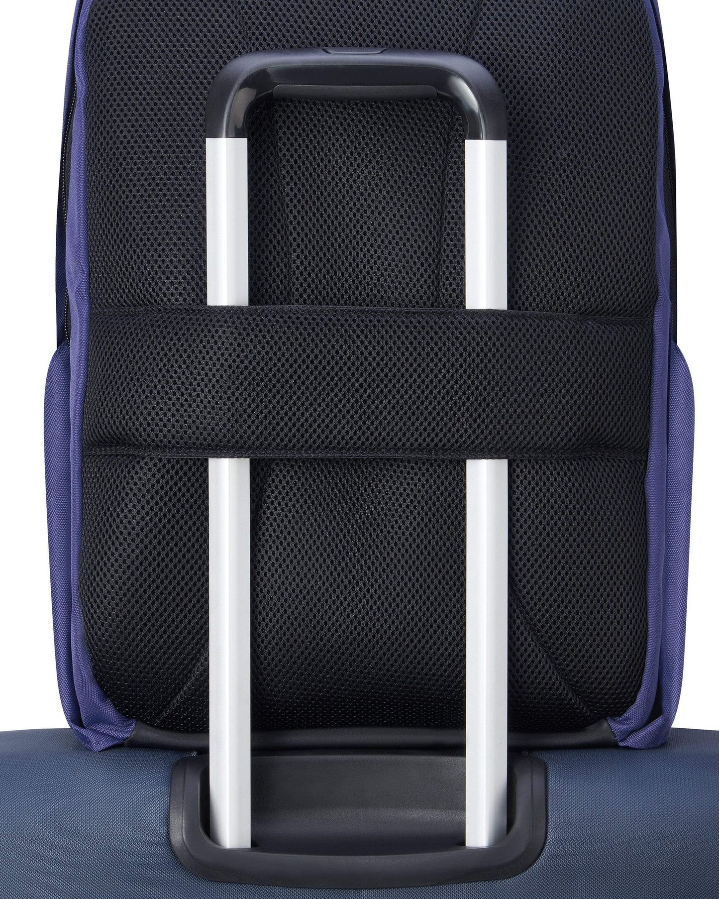 Delsey Paris Securban Backpack