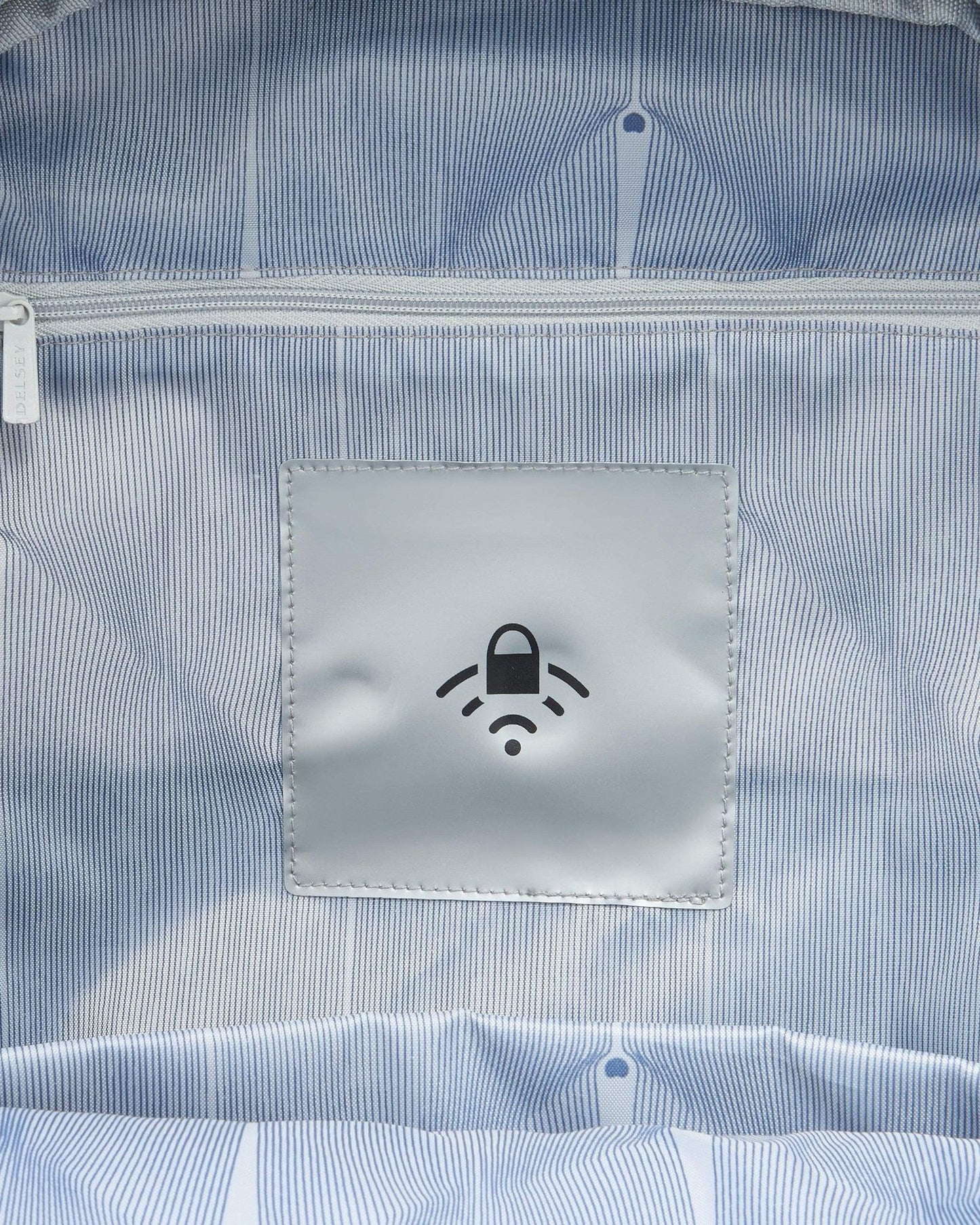 Delsey Paris Securban Backpack