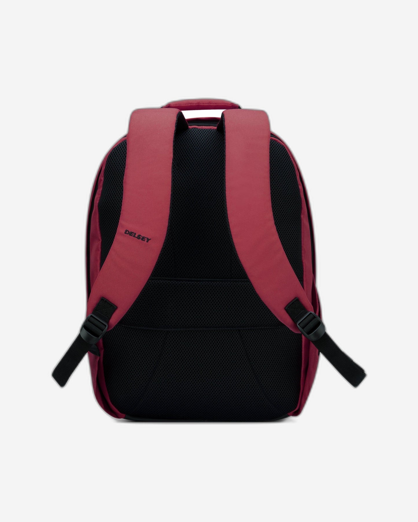 Delsey Paris Securban Backpack
