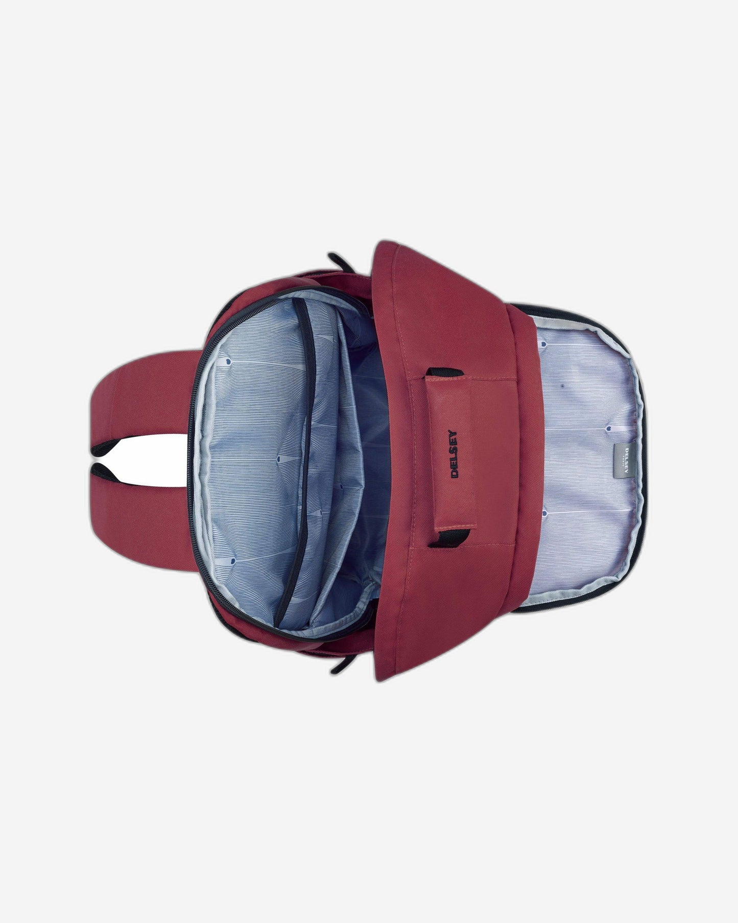 Delsey Paris Securban Backpack