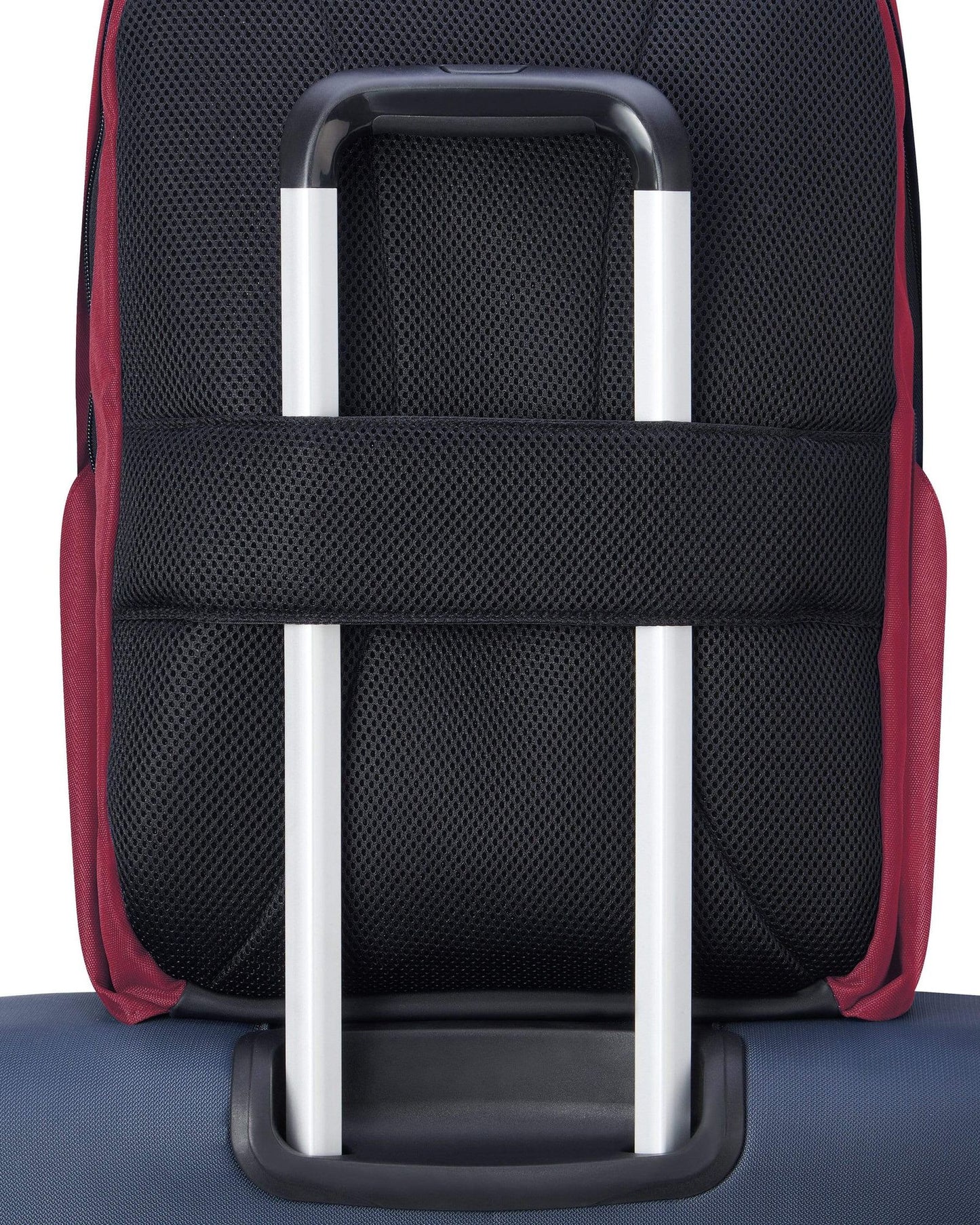 Delsey Paris Securban Backpack