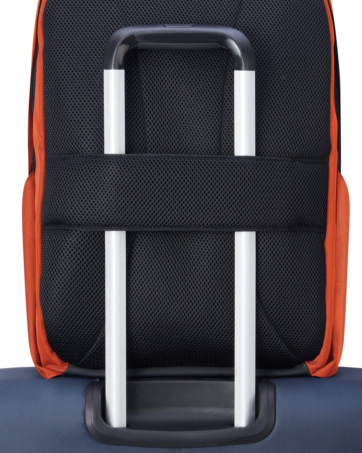 Delsey Paris Securban Backpack