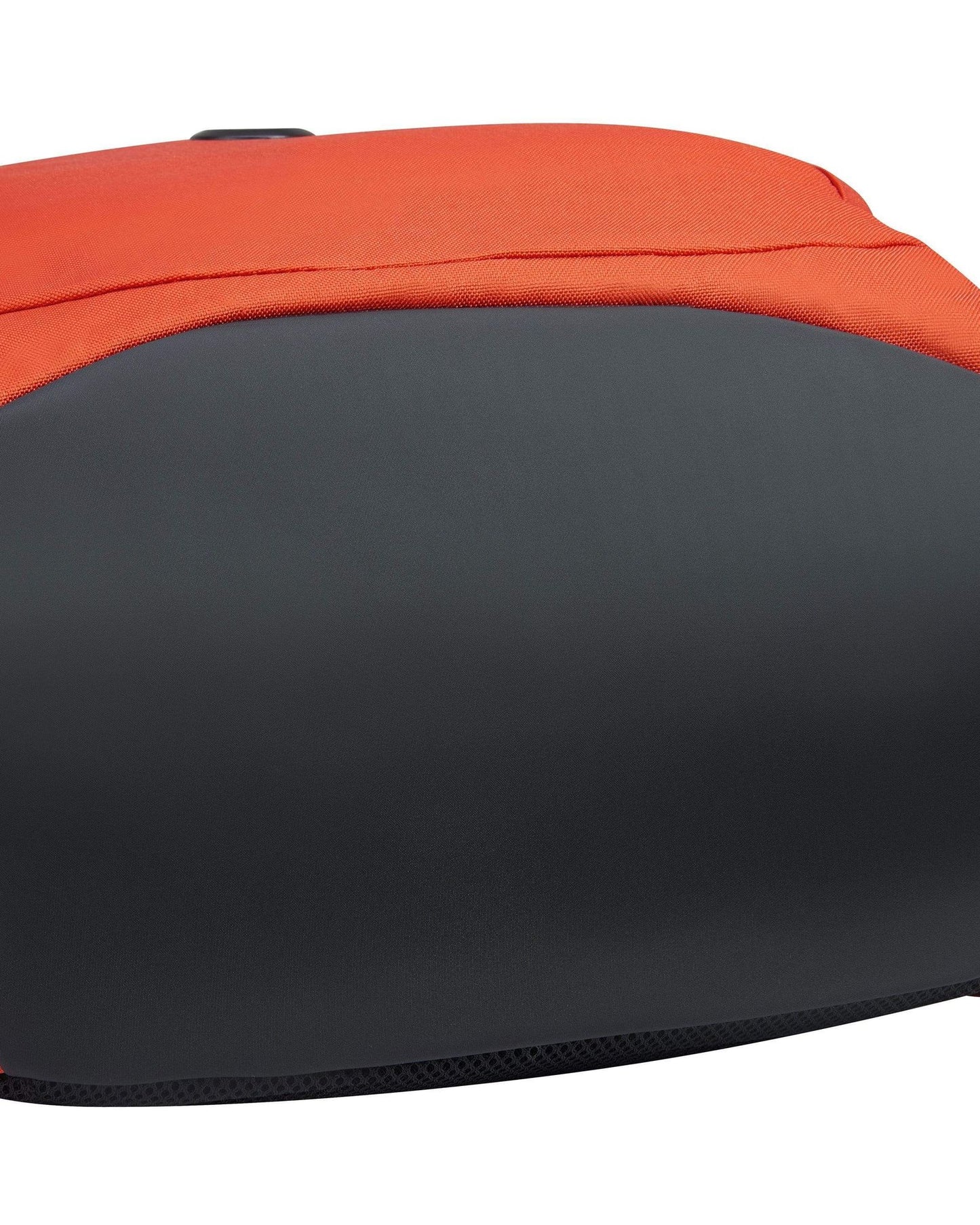 Delsey Paris Securban Backpack