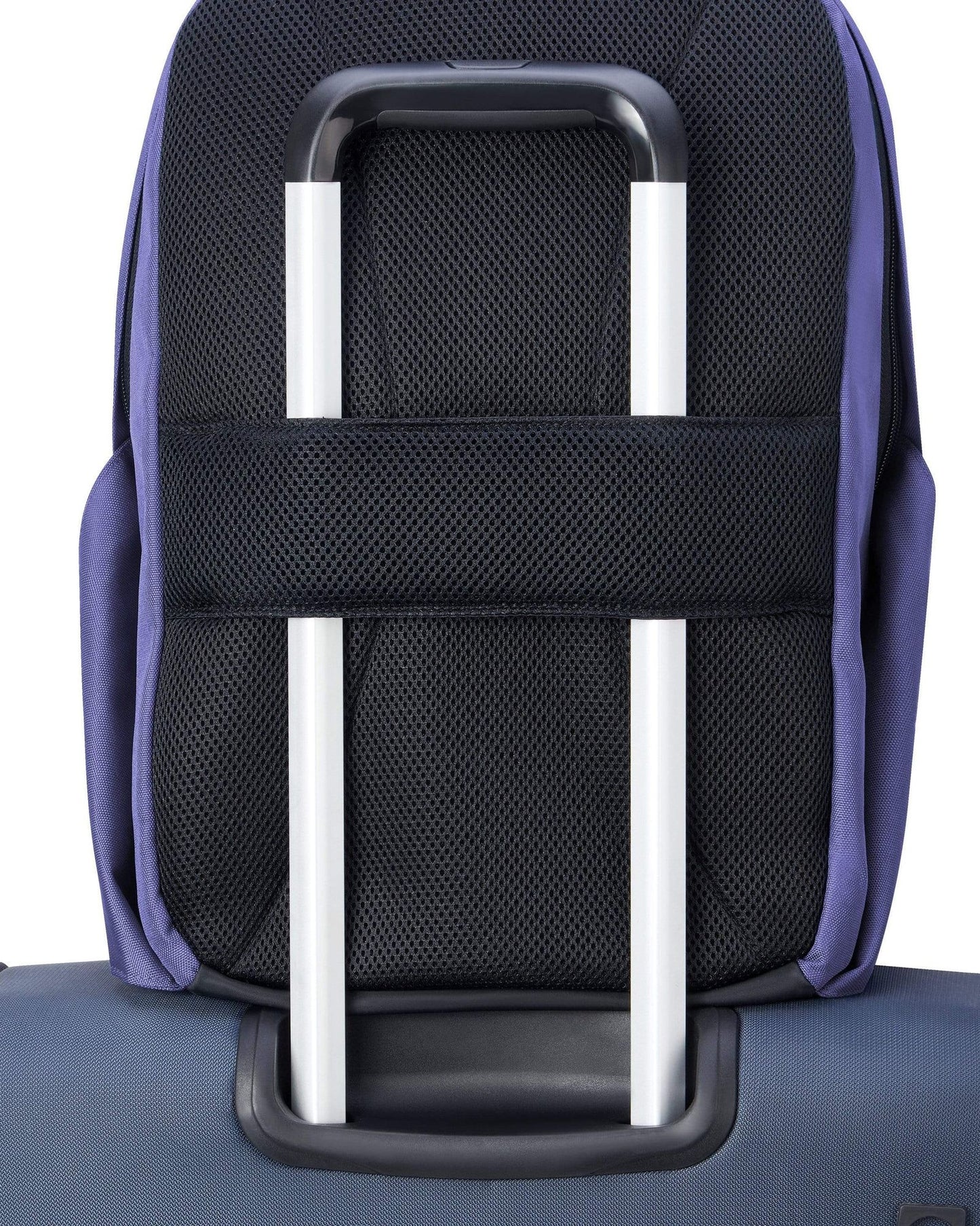 Delsey Paris Securban Backpack