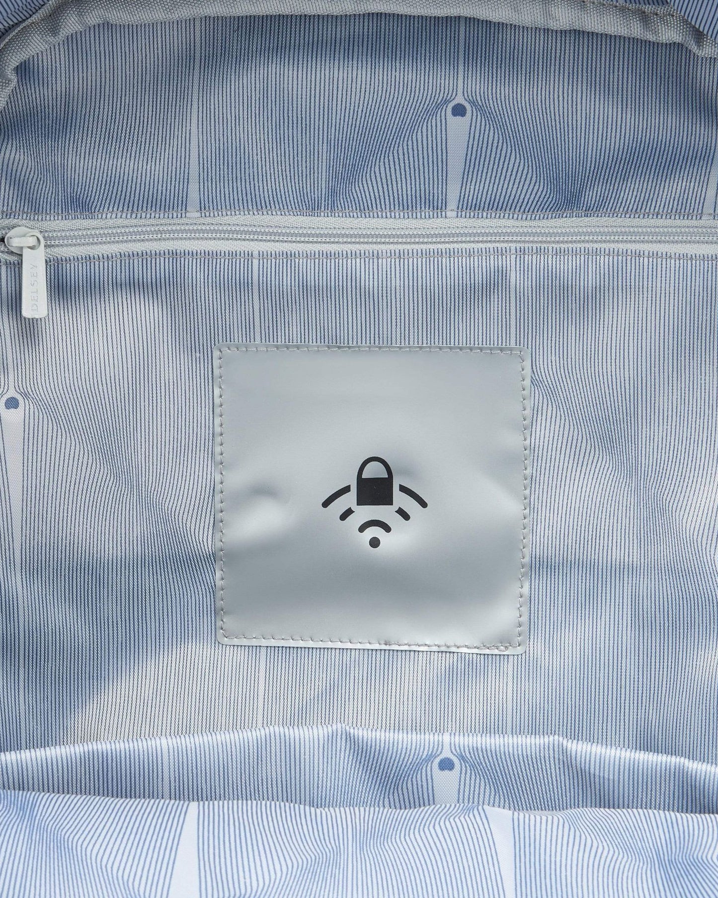 Delsey Paris Securban Backpack