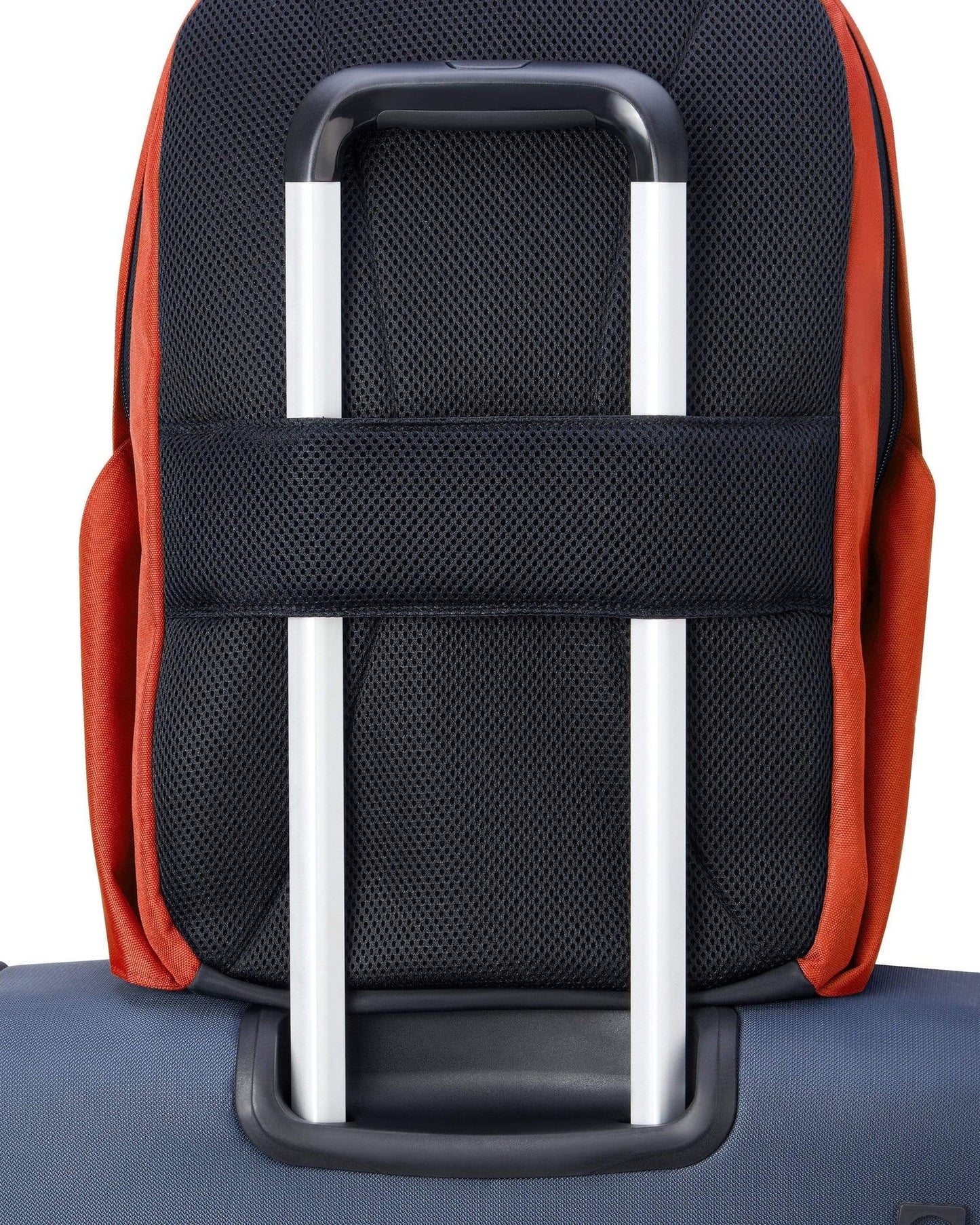 Delsey Paris Securban Backpack