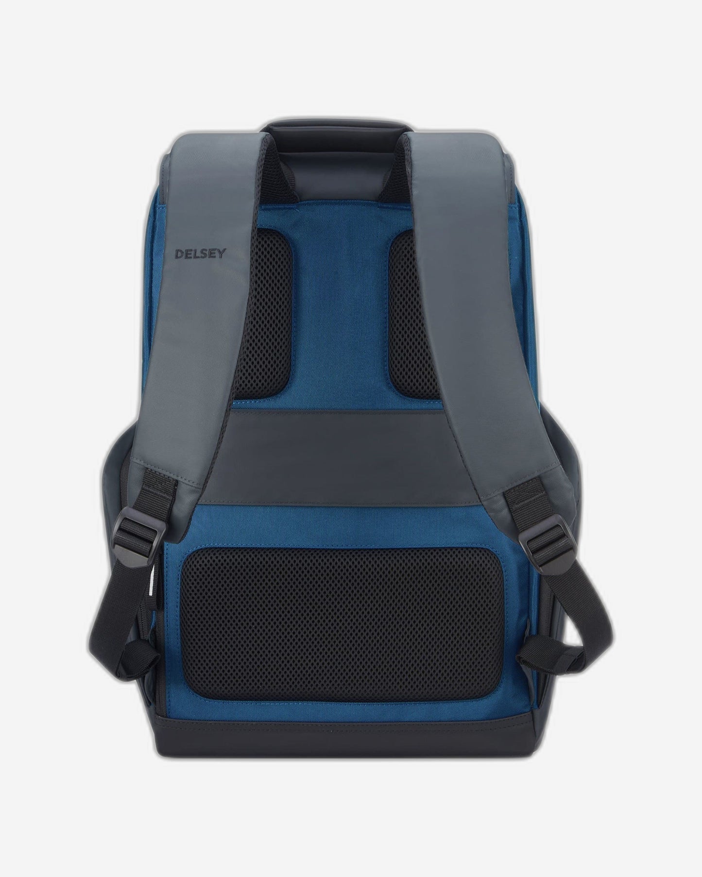 Delsey Paris Securflap Backpack
