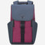 Delsey Paris Securflap Backpack