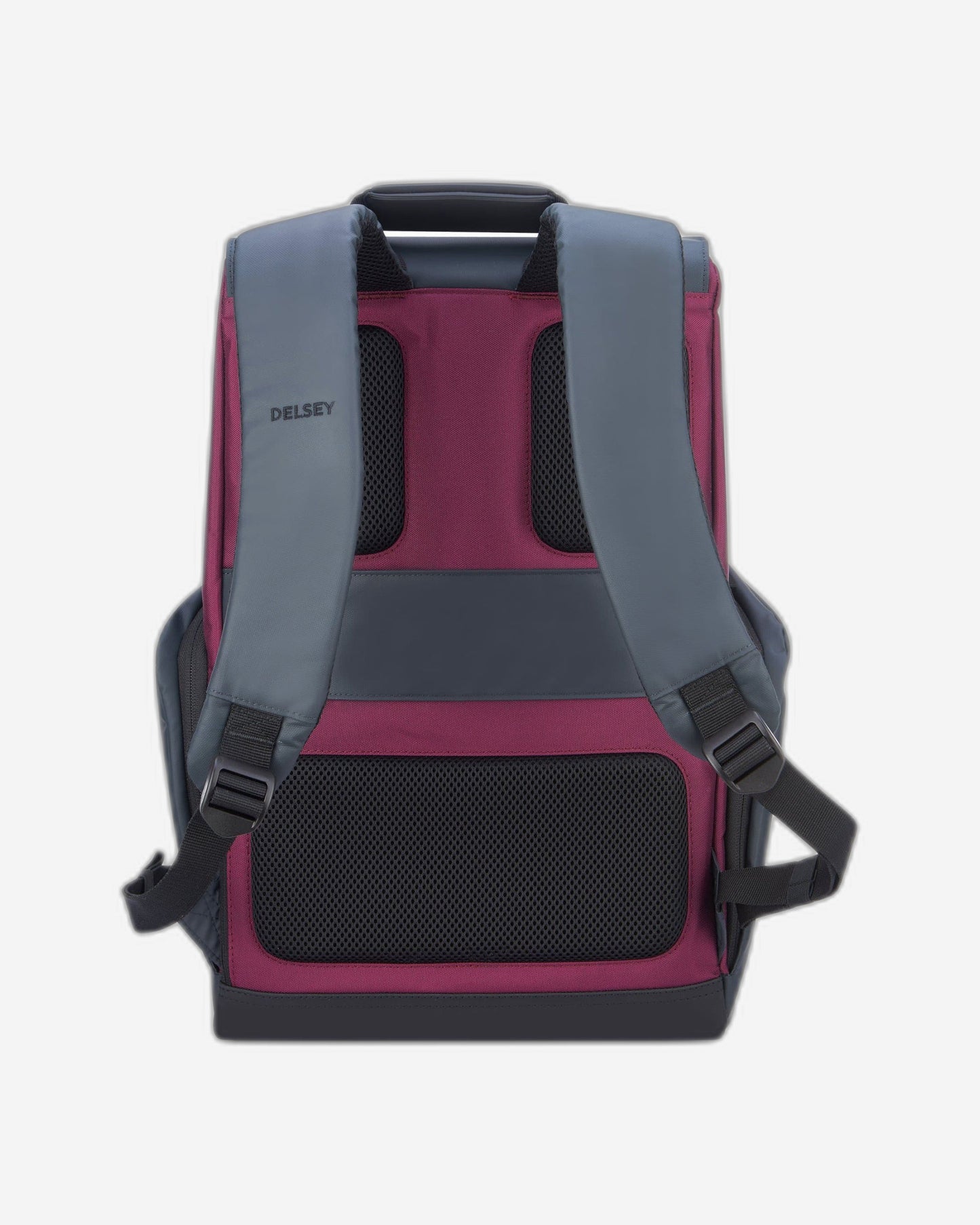 Delsey Paris Securflap Backpack