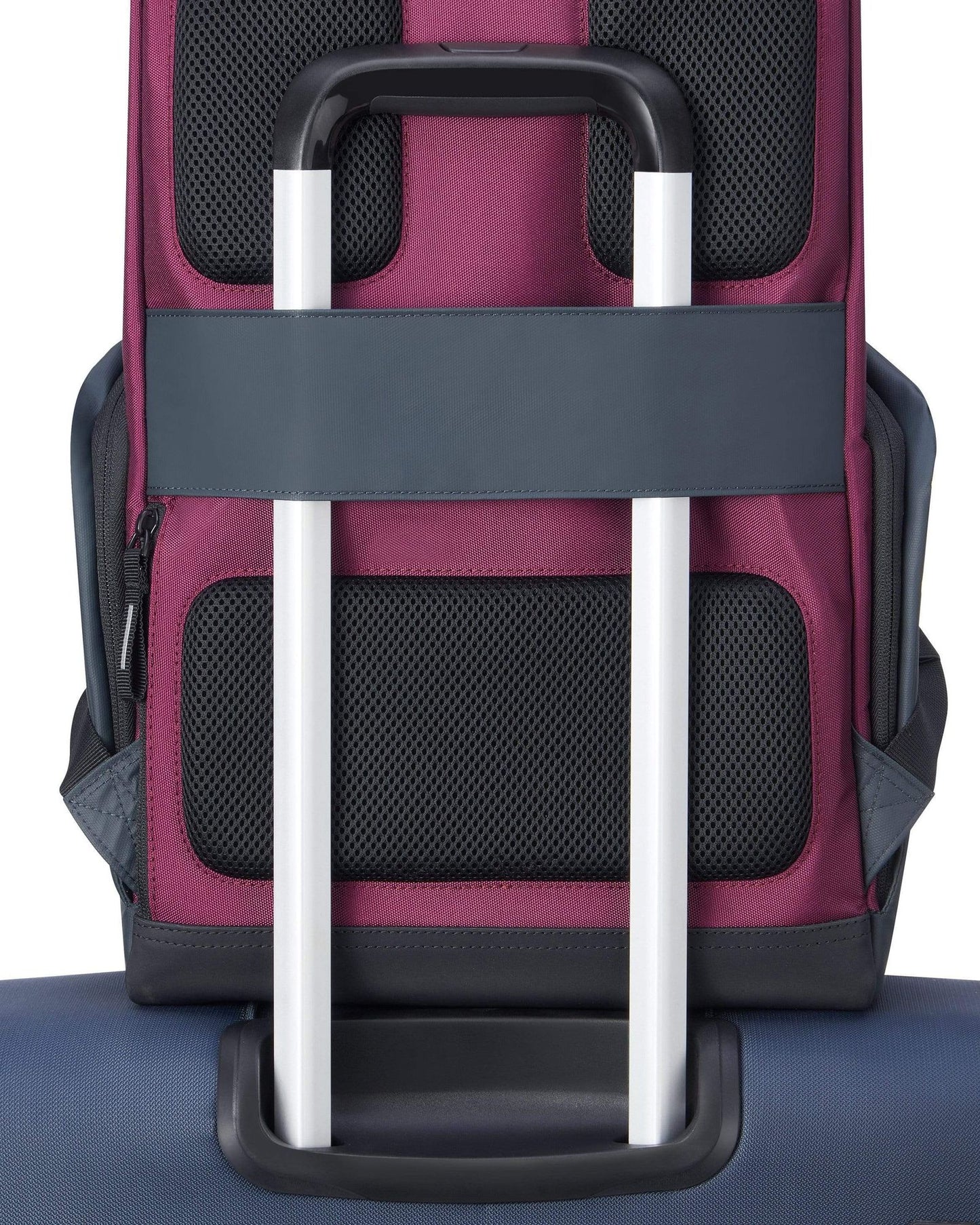 Delsey Paris Securflap Backpack