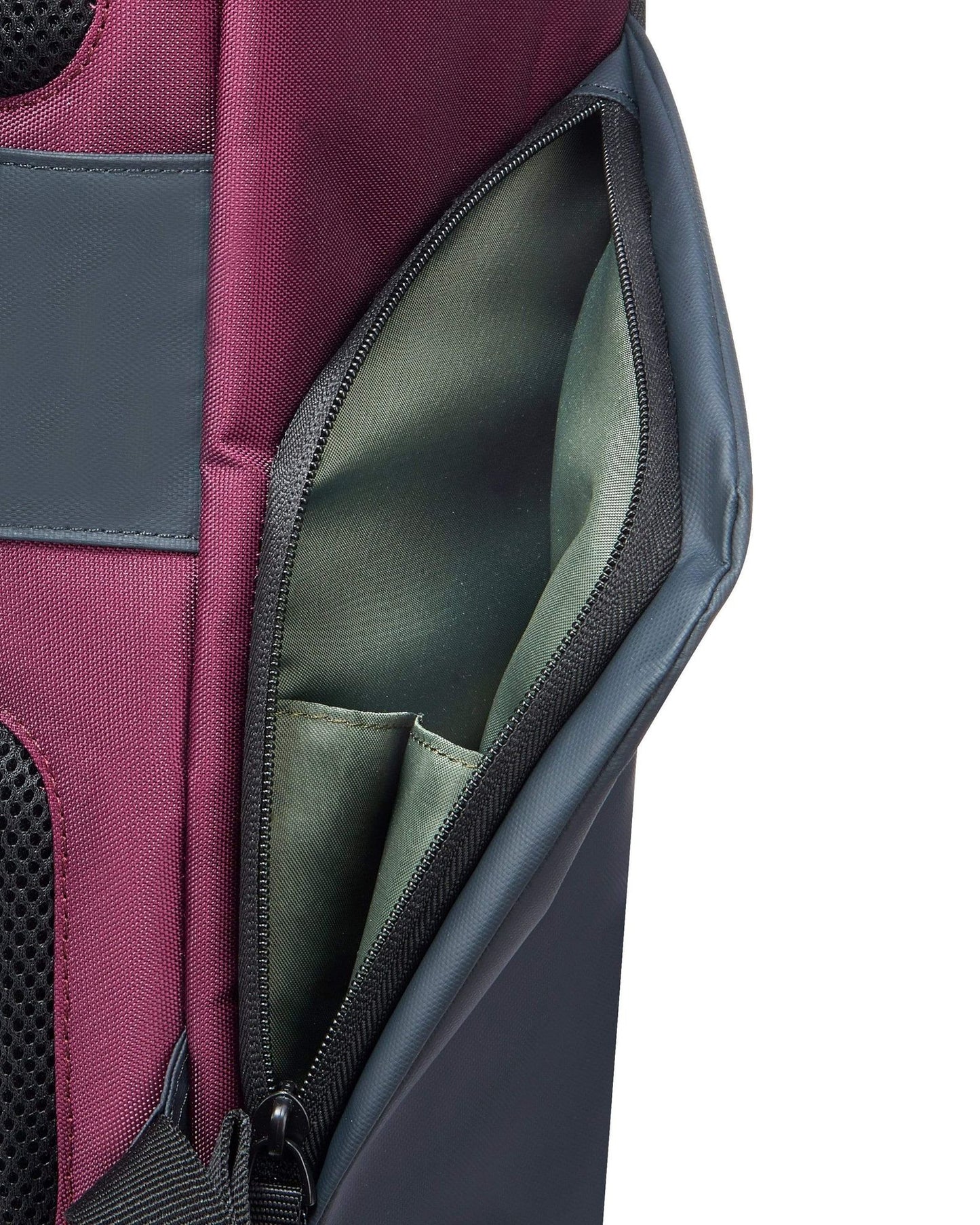 Delsey Paris Securflap Backpack
