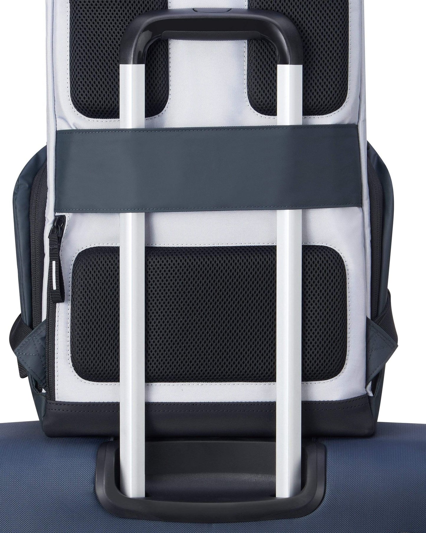 Delsey Paris Securflap Backpack