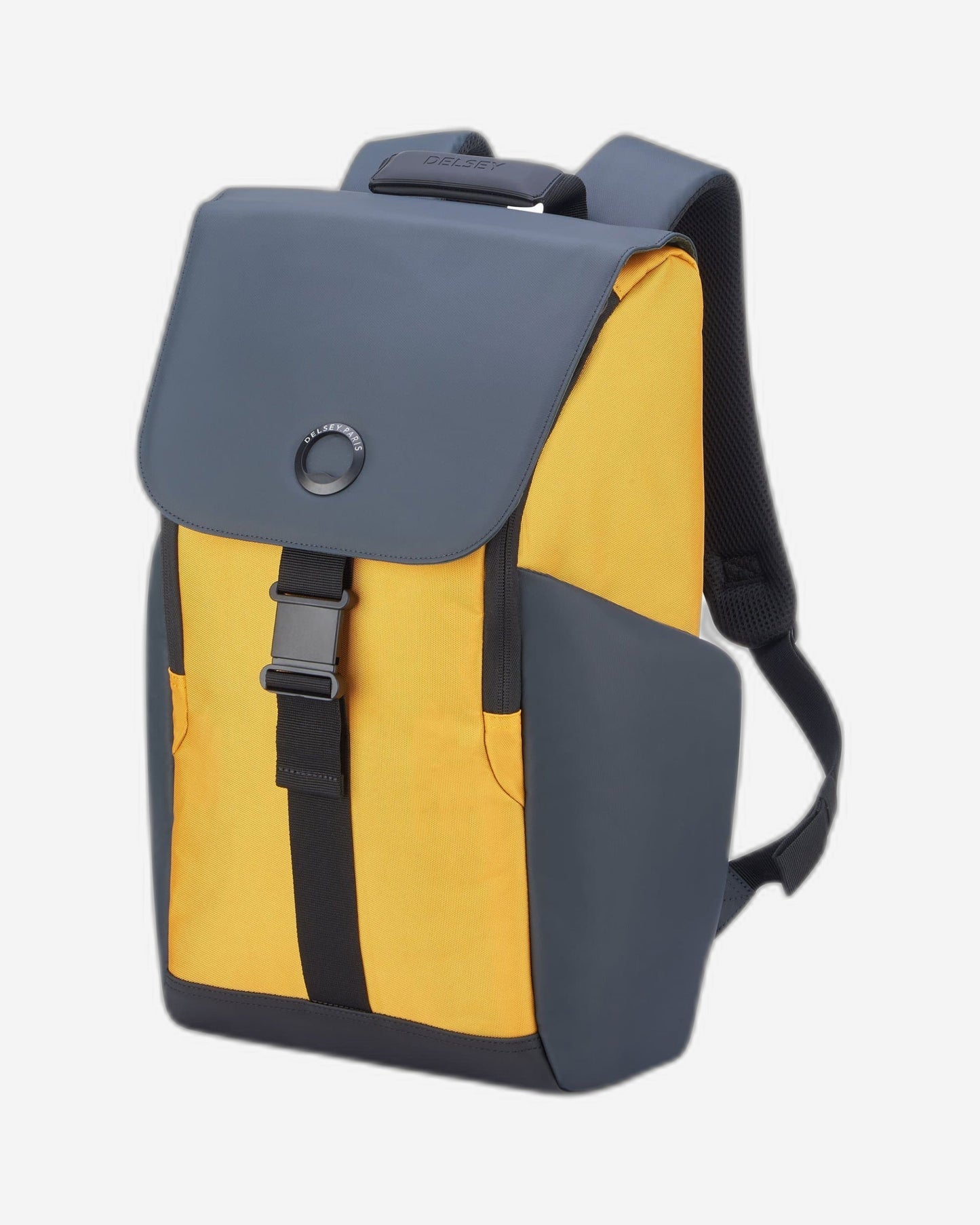 Delsey Paris Securflap Backpack
