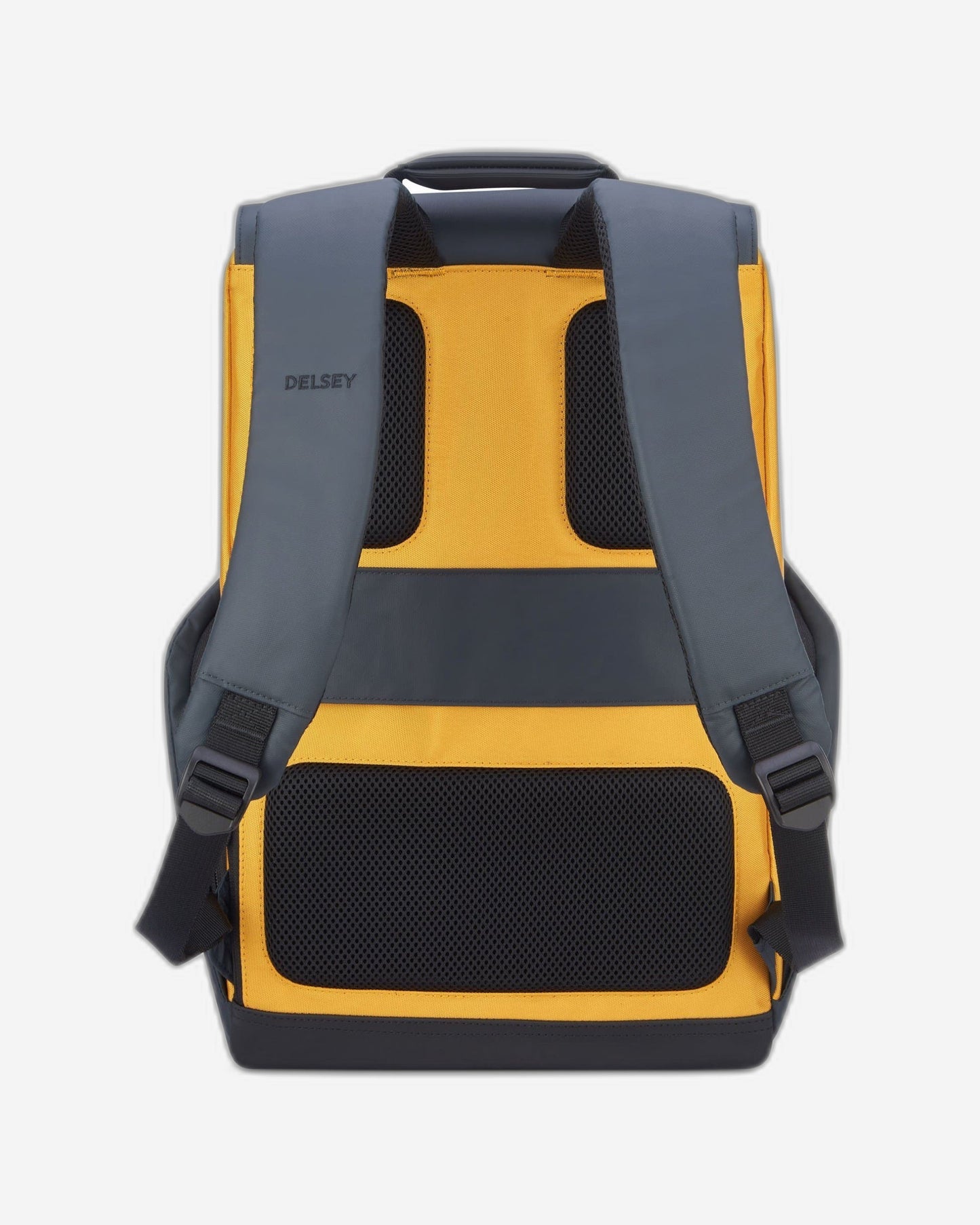 Delsey Paris Securflap Backpack