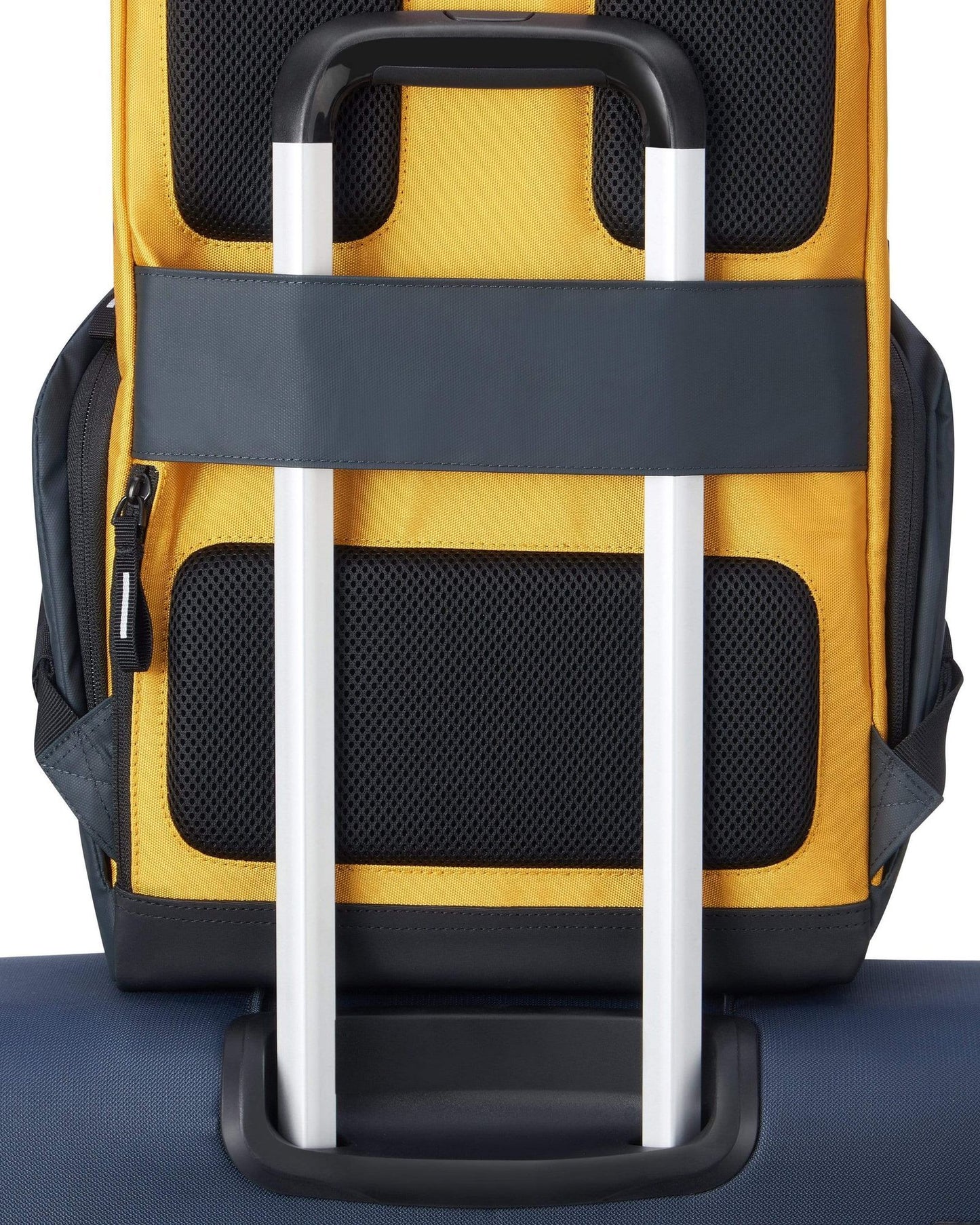 Delsey Paris Securflap Backpack