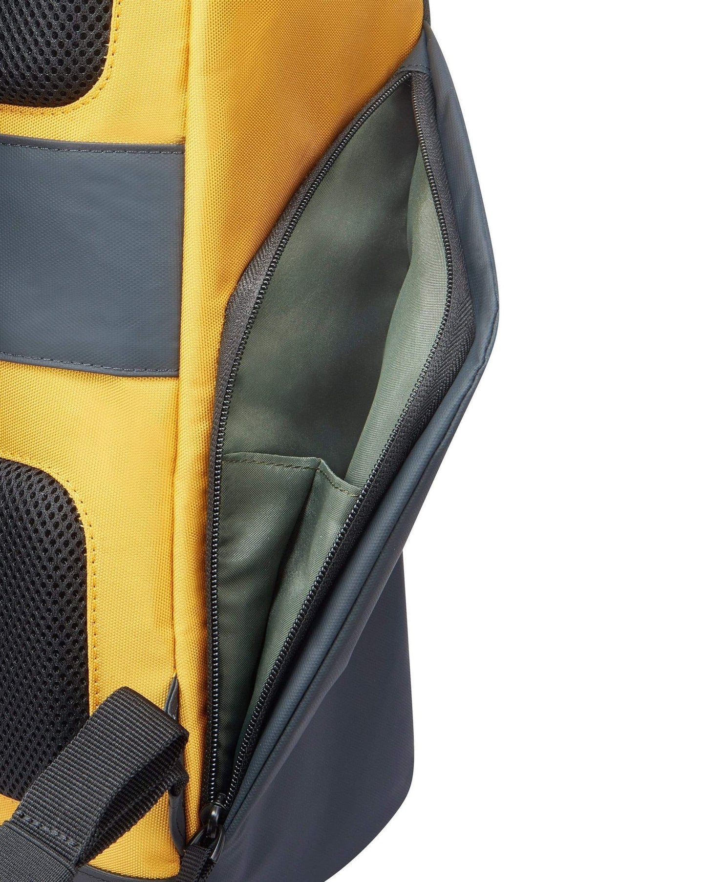 Delsey Paris Securflap Backpack
