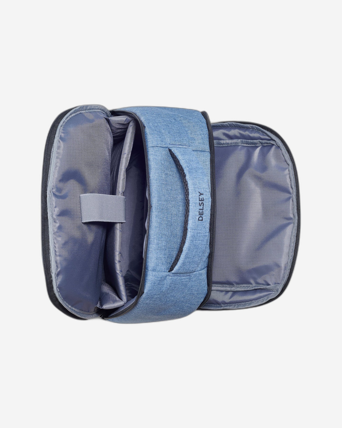 Delsey Paris Element Voyager Backpack