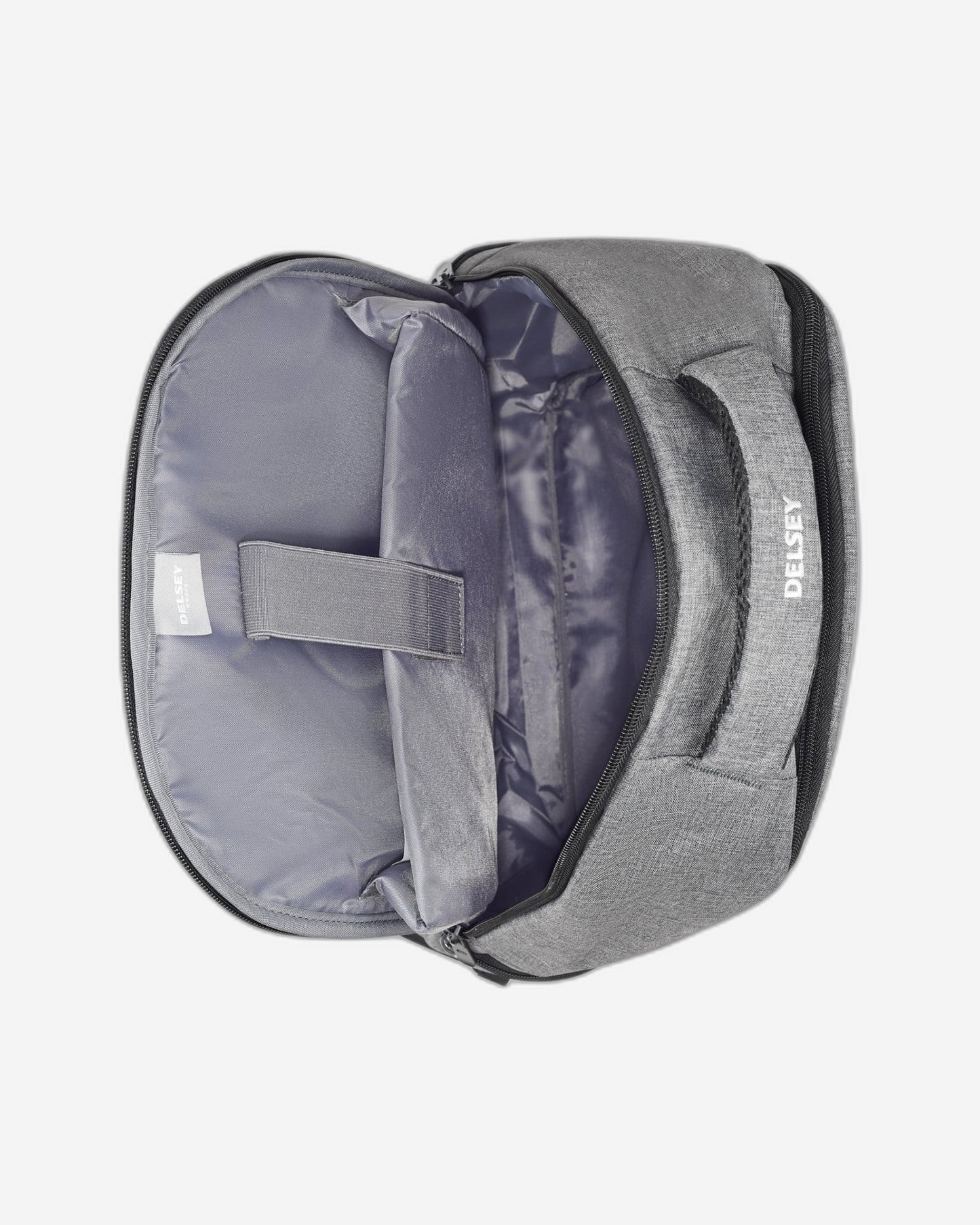 Delsey Paris Element Voyager Backpack