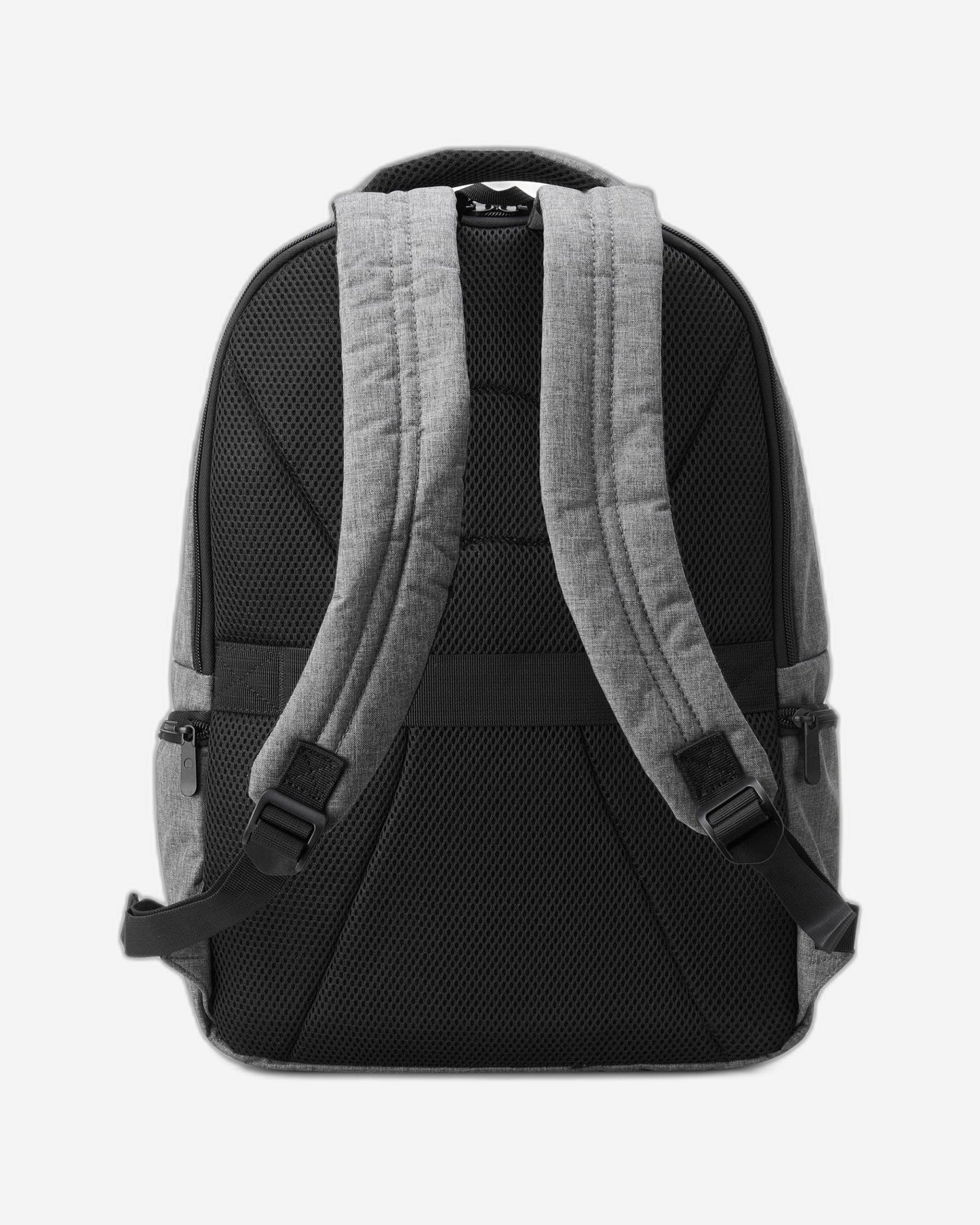 Delsey Paris Element Voyager Backpack