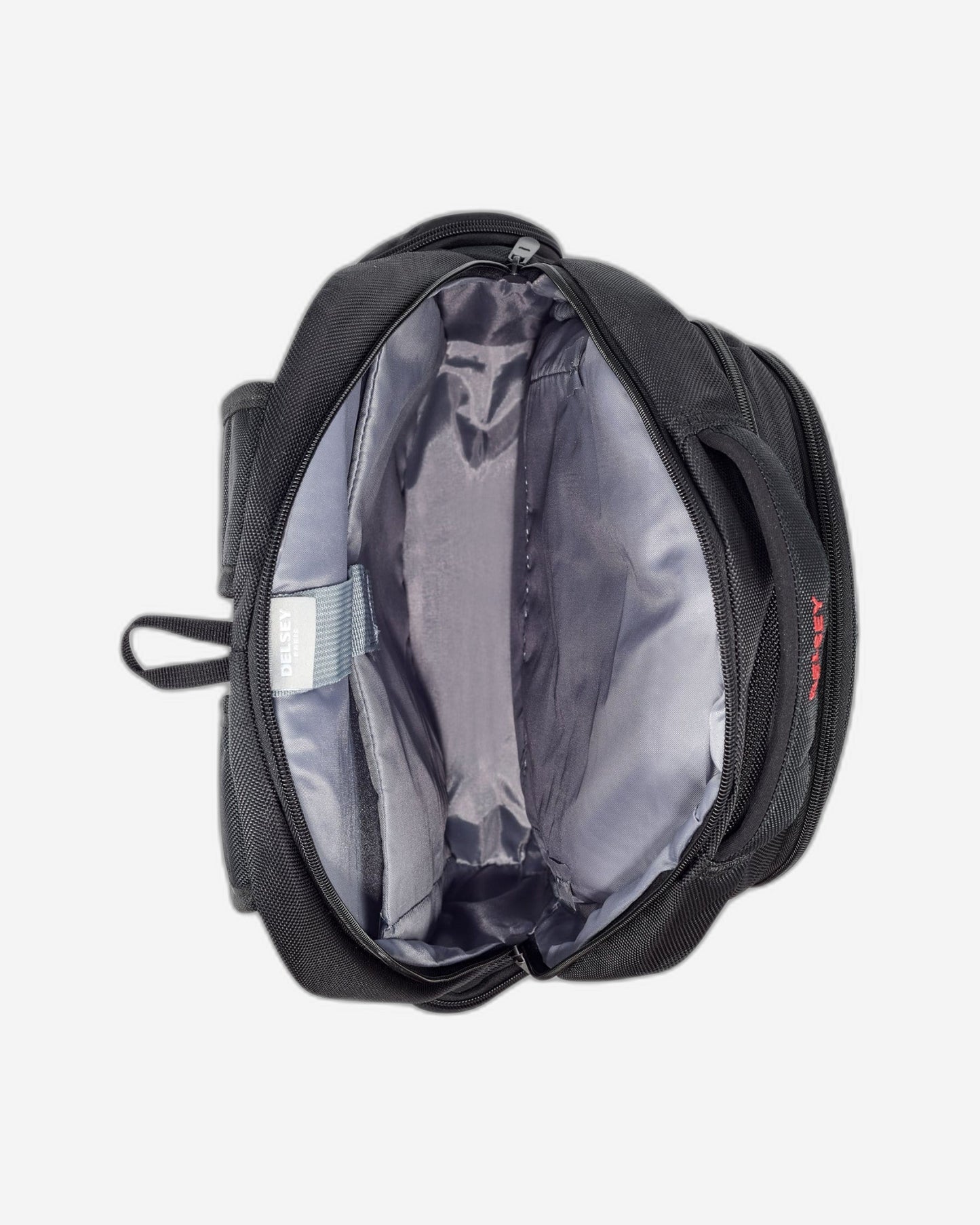 Delsey Paris Element Flier Backpack