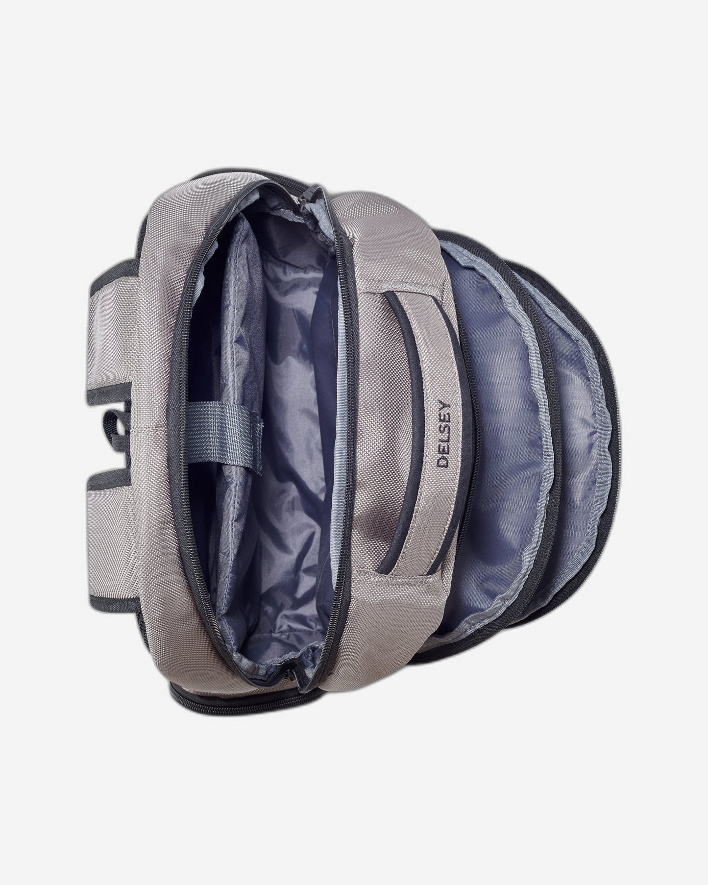 Delsey Paris Element Flier Backpack