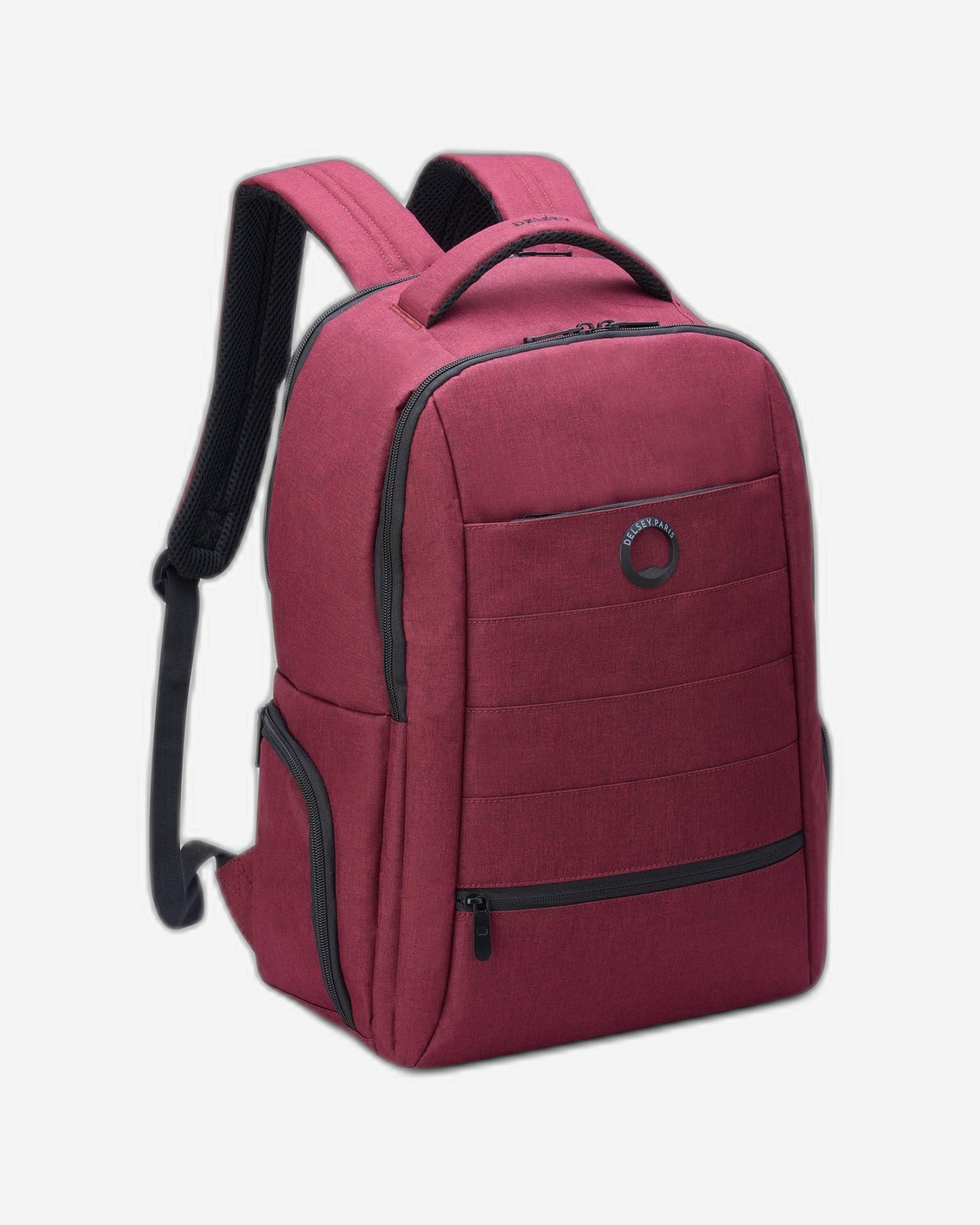 Delsey Paris Element Voyager Backpack