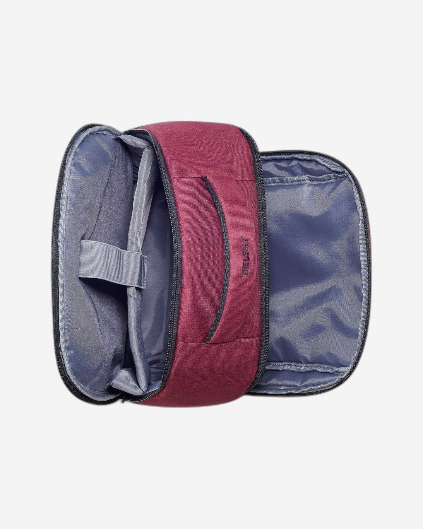 Delsey Paris Element Voyager Backpack