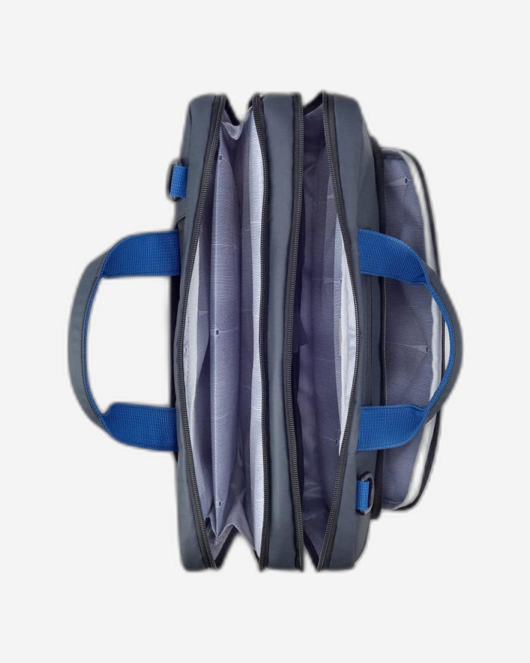 Delsey Paris Parvis Plus Backpack