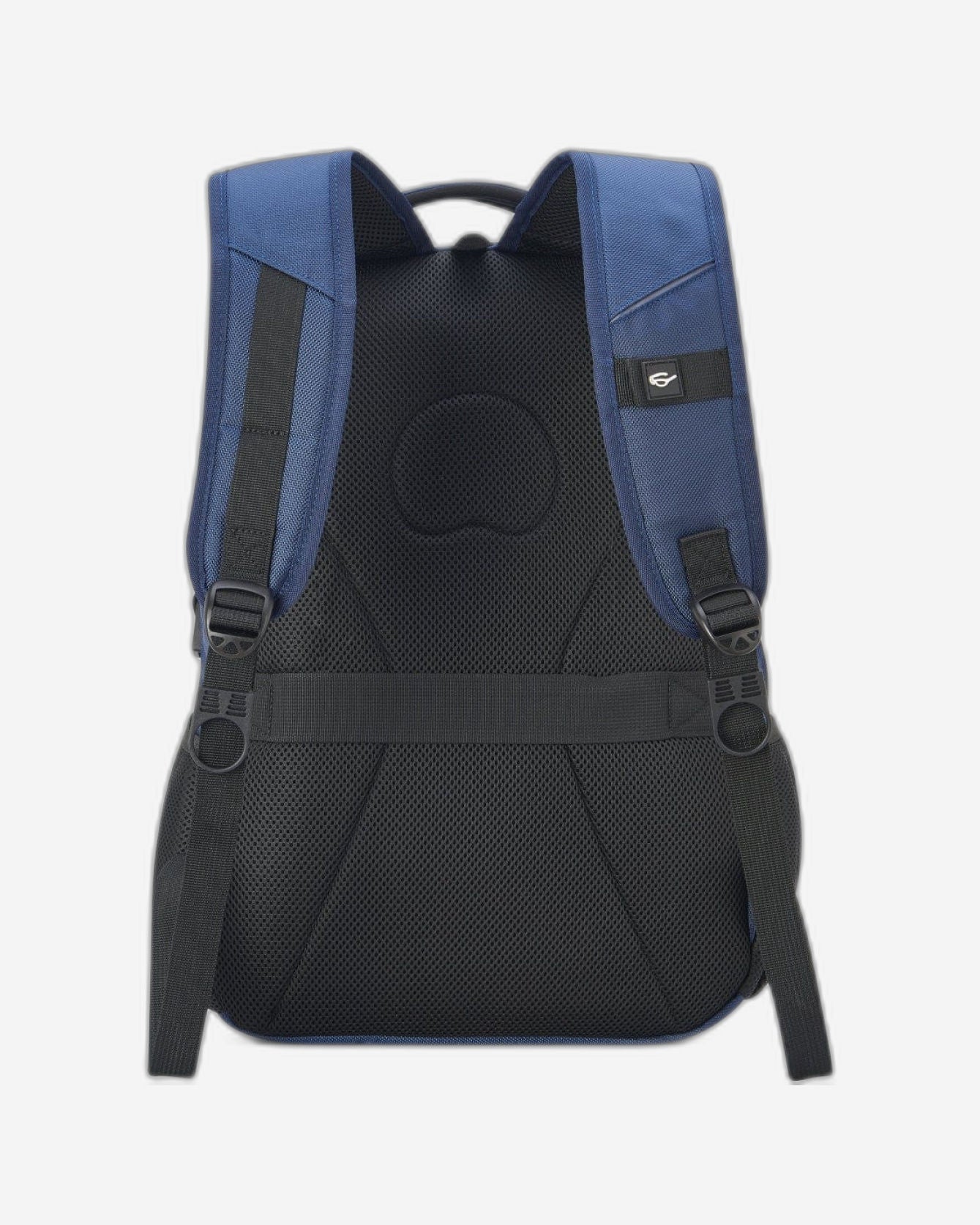 Delsey Paris Element Navigator Backpack