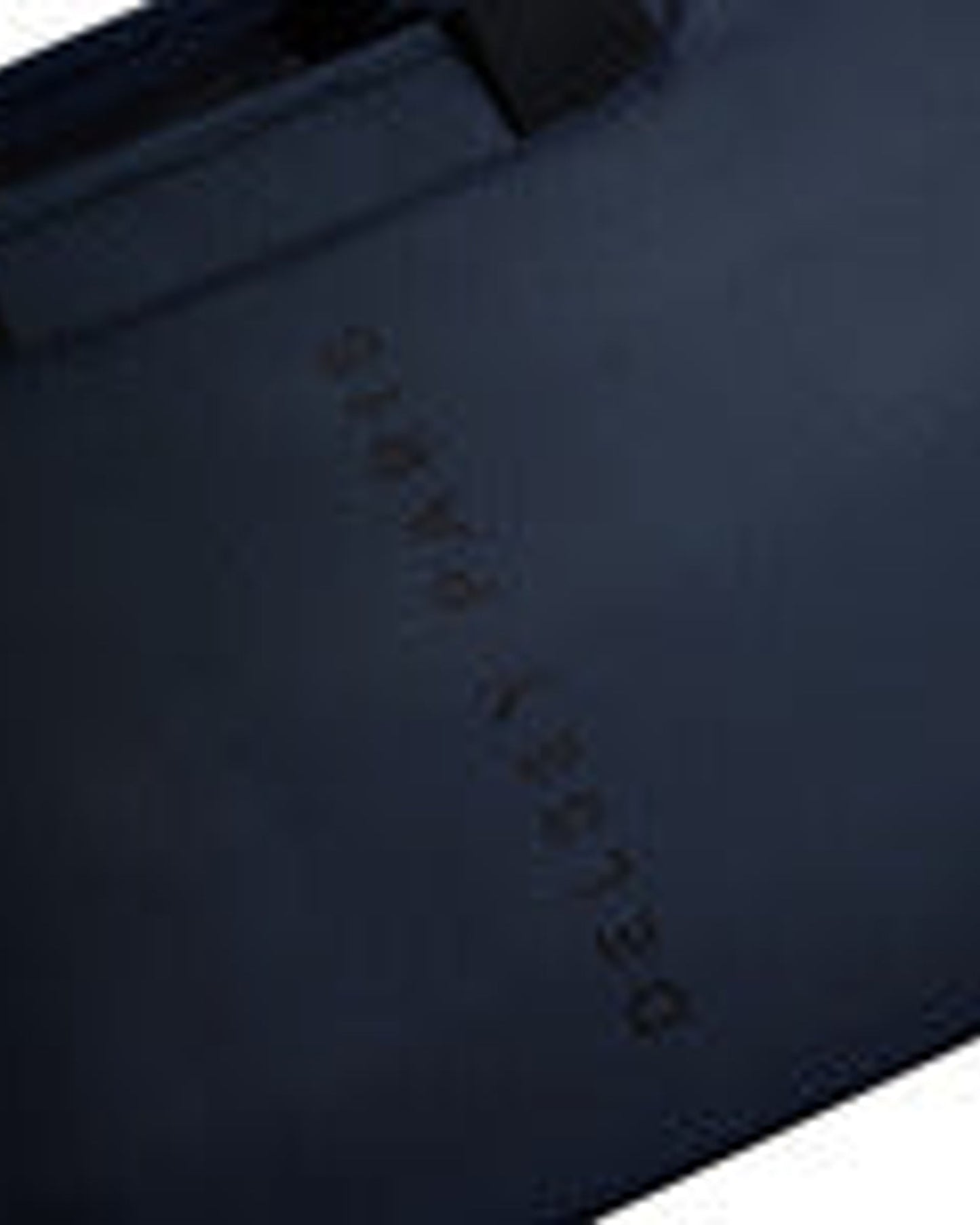 Delsey Paris Arche Briefcase