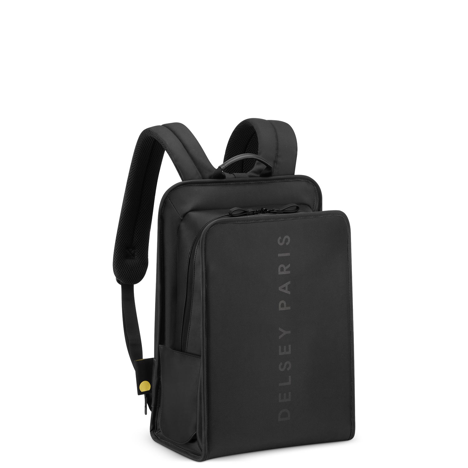 Delsey Paris Arche 2 Compartment Backpack