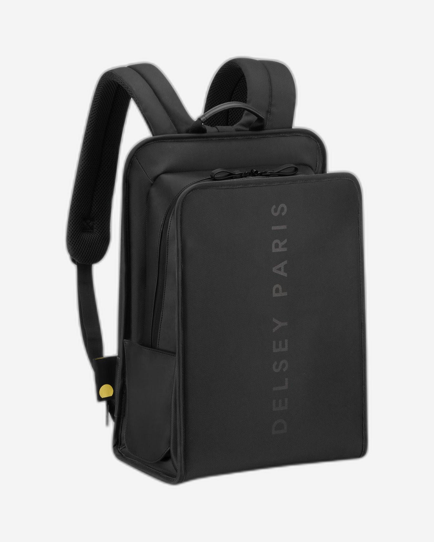 Delsey Paris Arche 2 Compartment Backpack