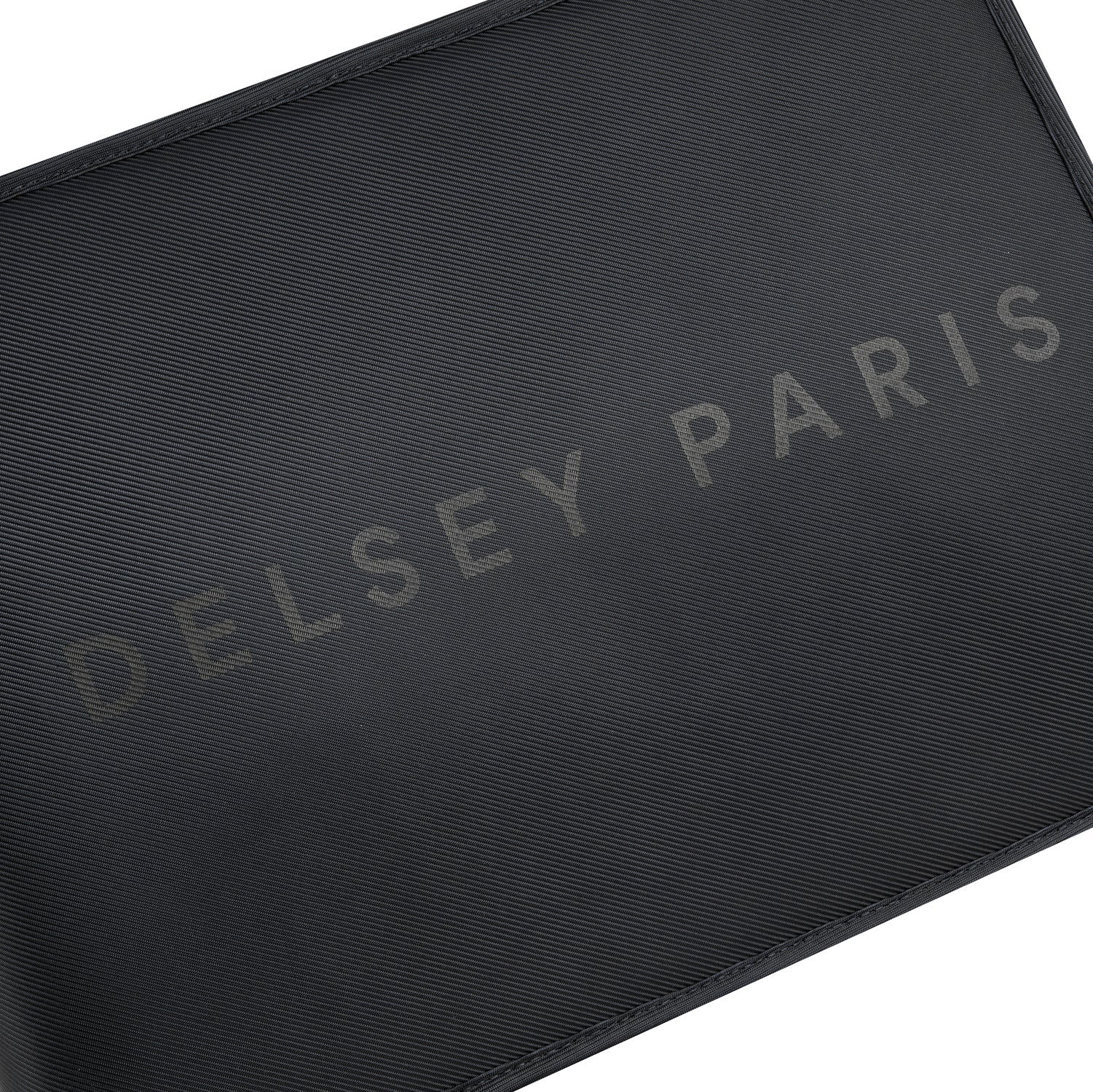 Delsey Paris Arche 2 Compartment Backpack