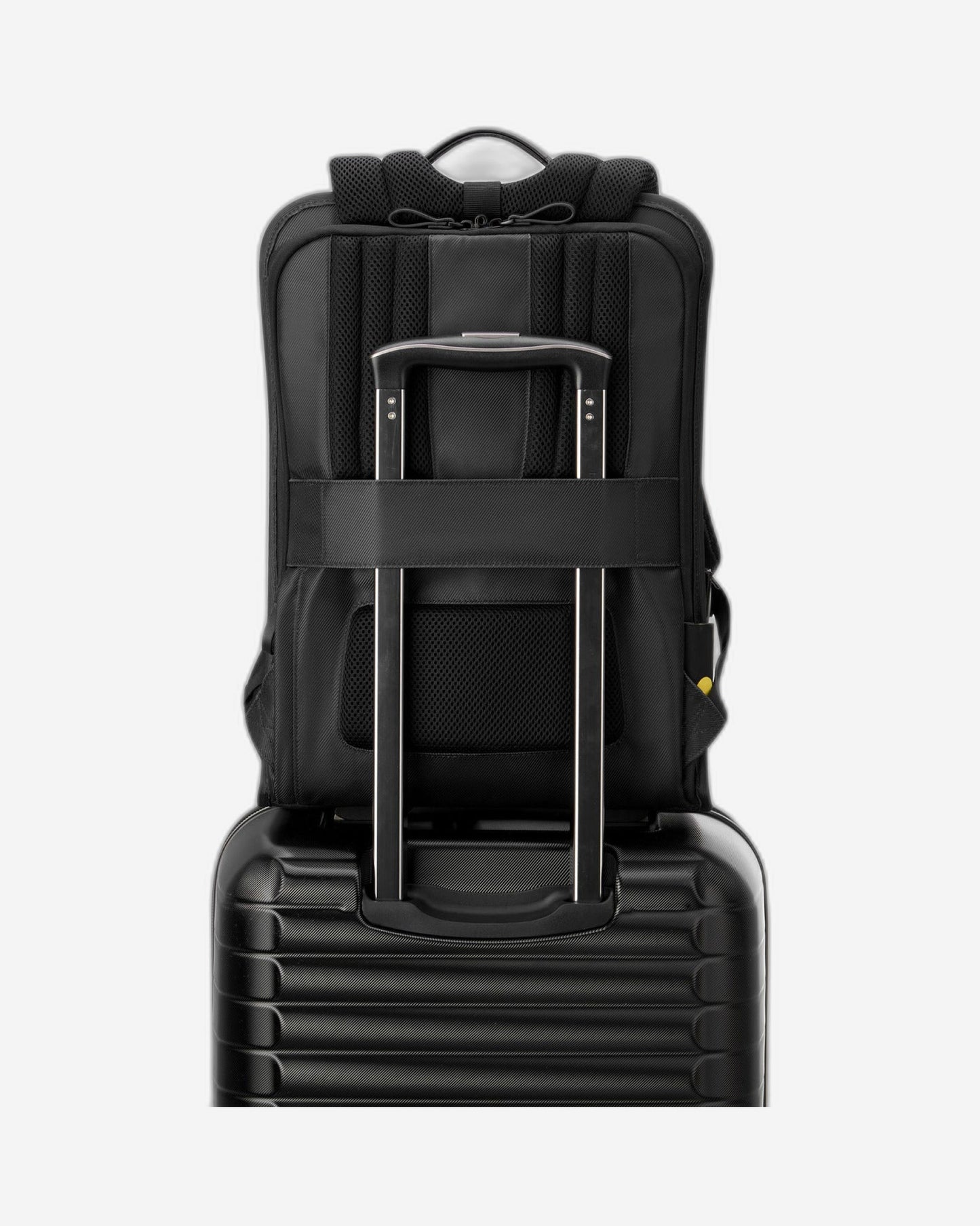 Delsey Paris Arche 2 Backpack