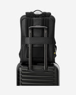 Delsey Paris Arche 2 Compartment Backpack