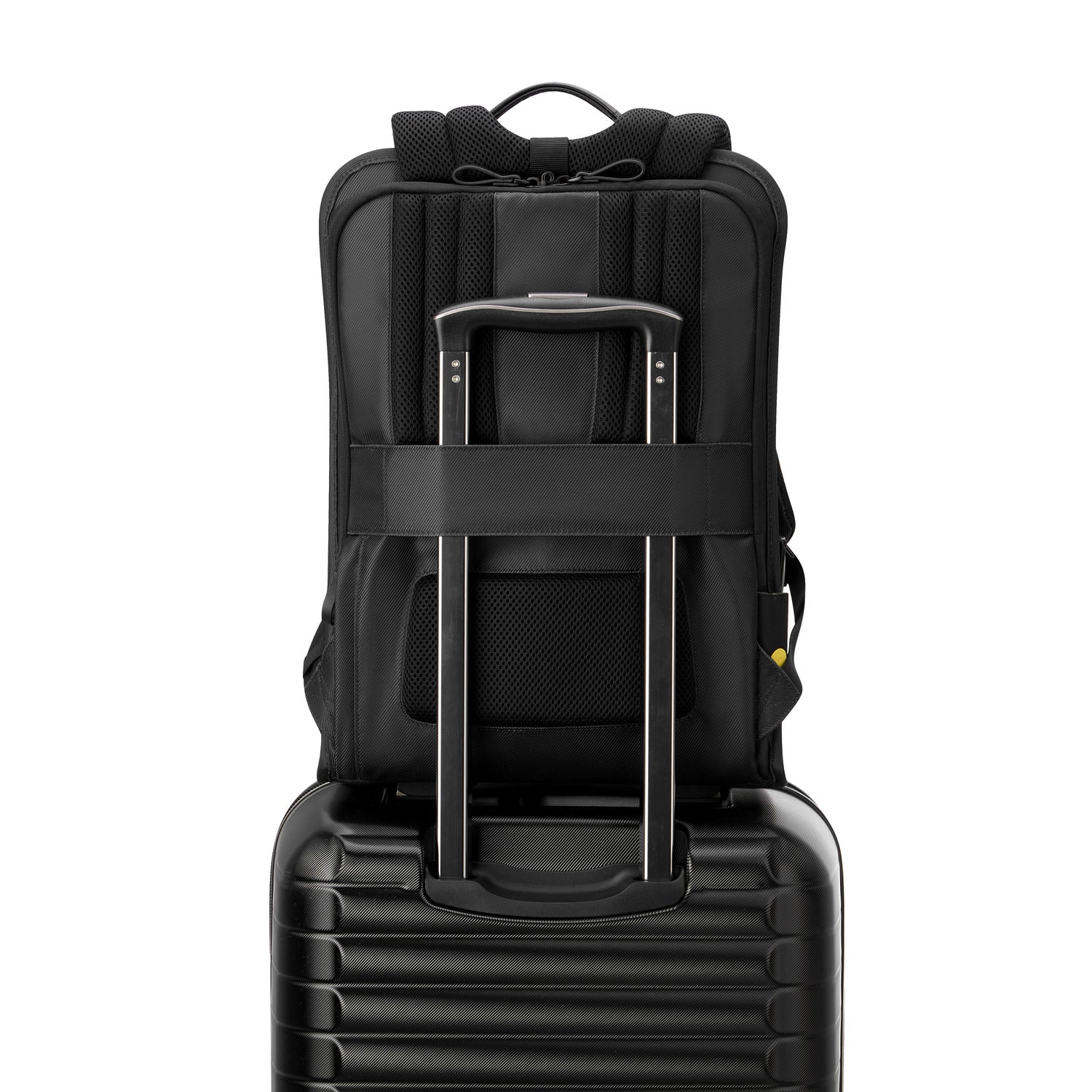 Delsey Paris Arche 2 Compartment Backpack
