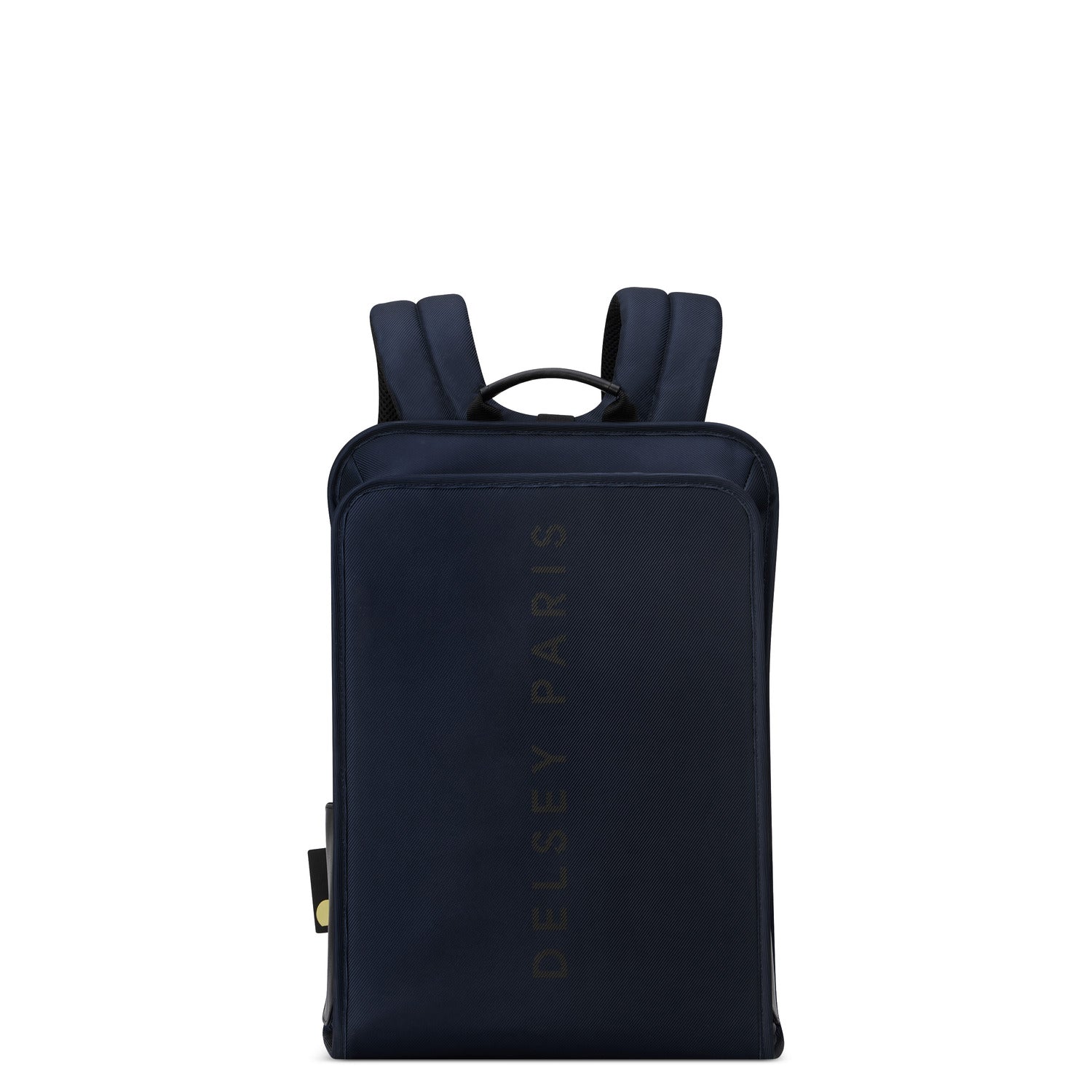 Delsey Paris Arche 2 Compartment Backpack