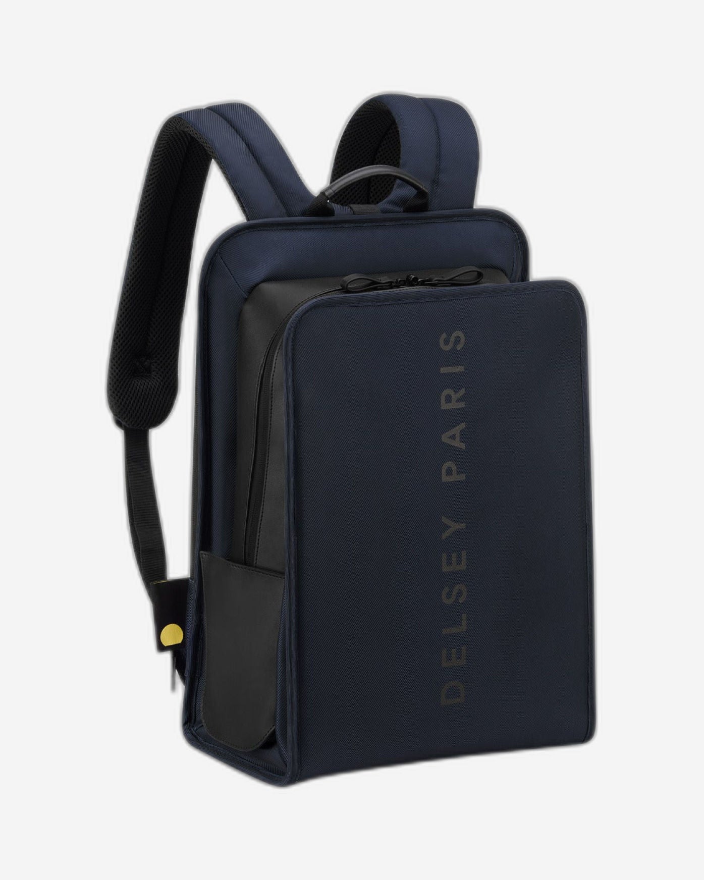 Delsey Paris Arche 2 Compartment Backpack